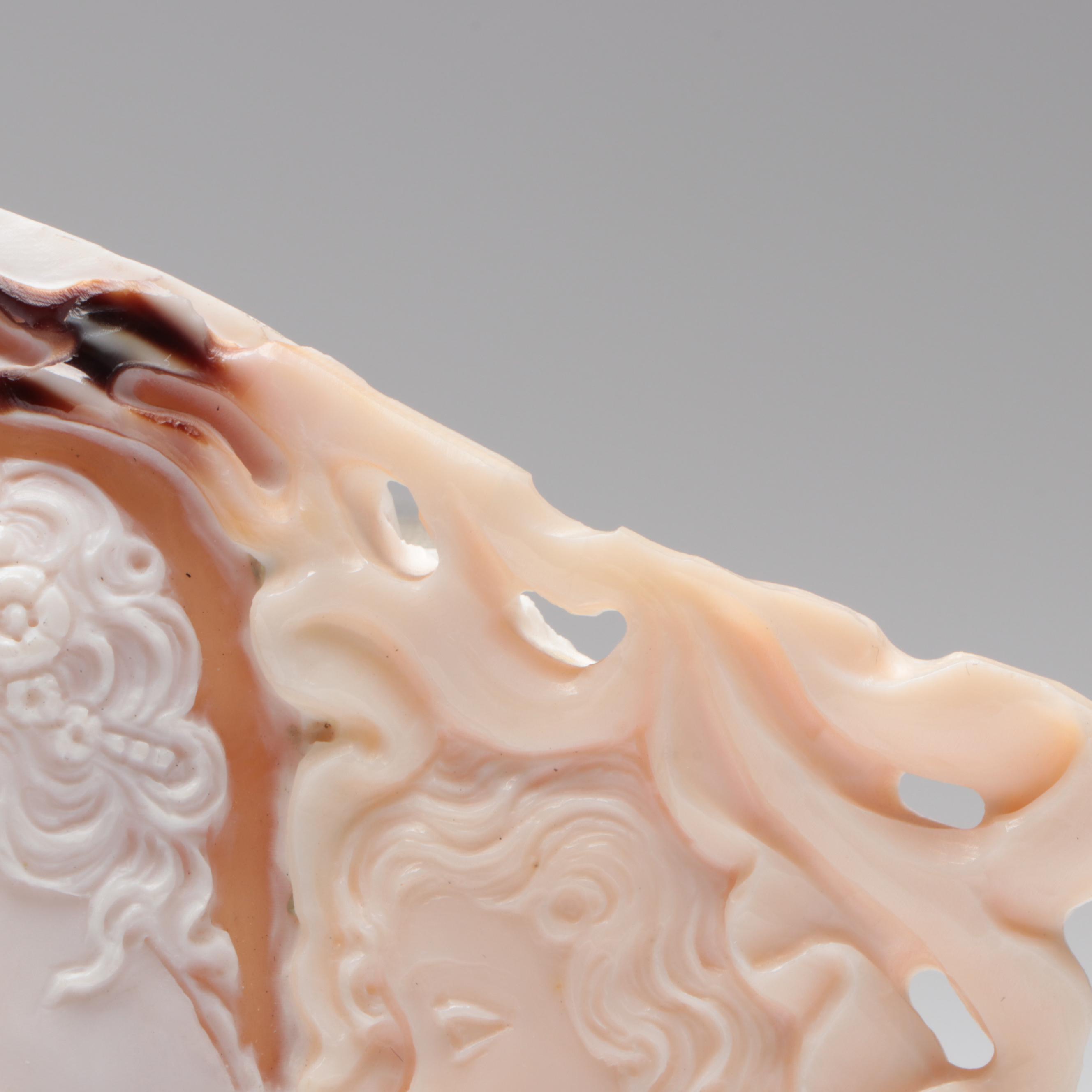 Italian Hand-Carved Bullmouth Helmet Shell Cameo