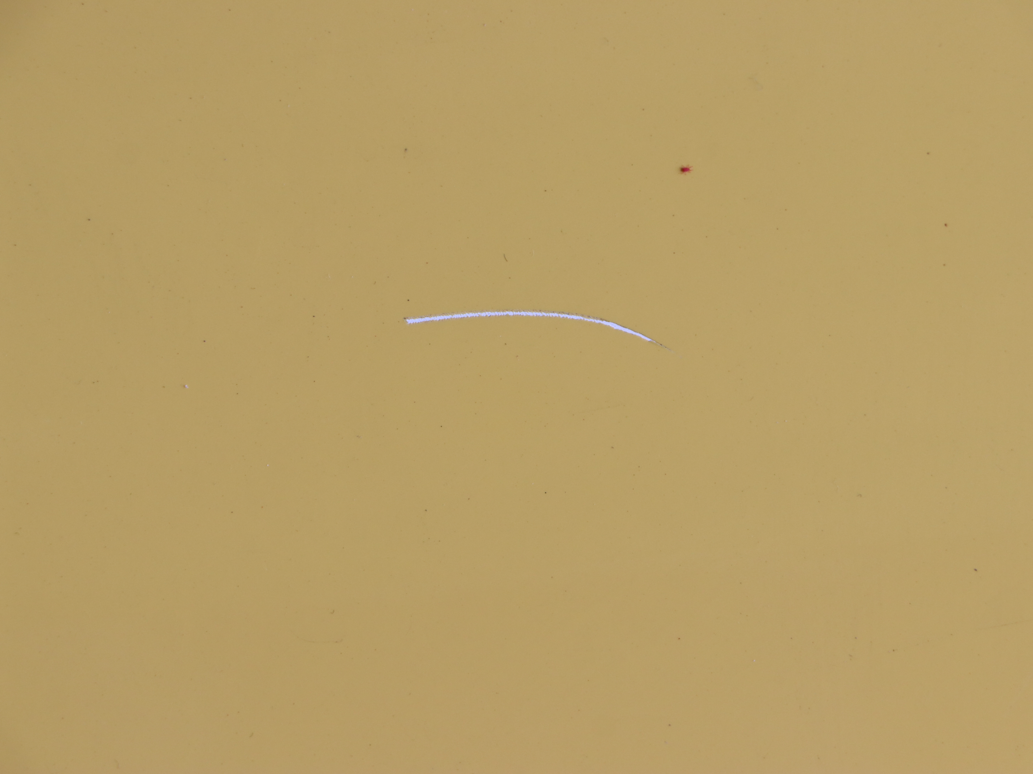 2005 Audi TT Convertible