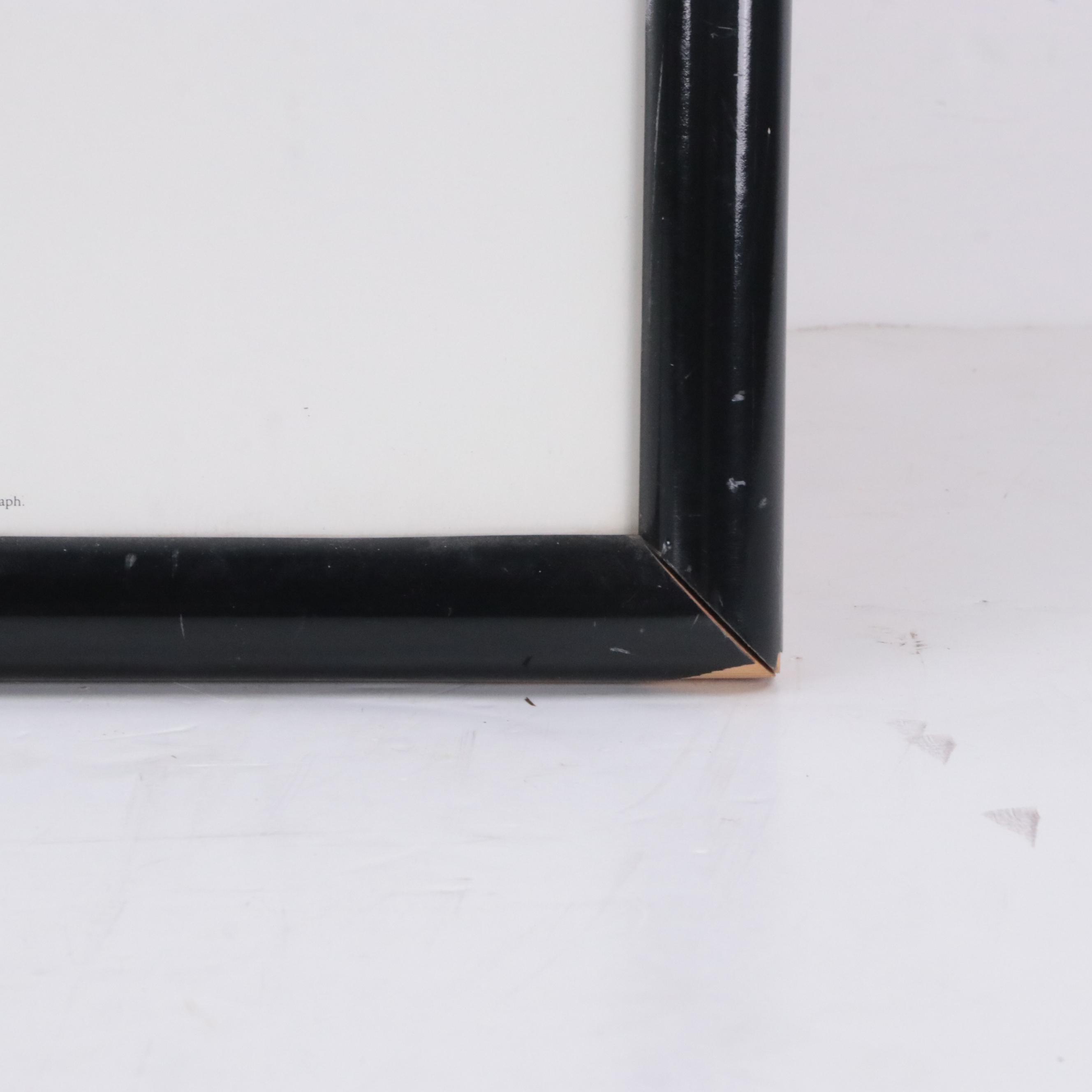 Offset Lithograph Poster After Ansel Adams "The Portfolios of Ansel Adams"