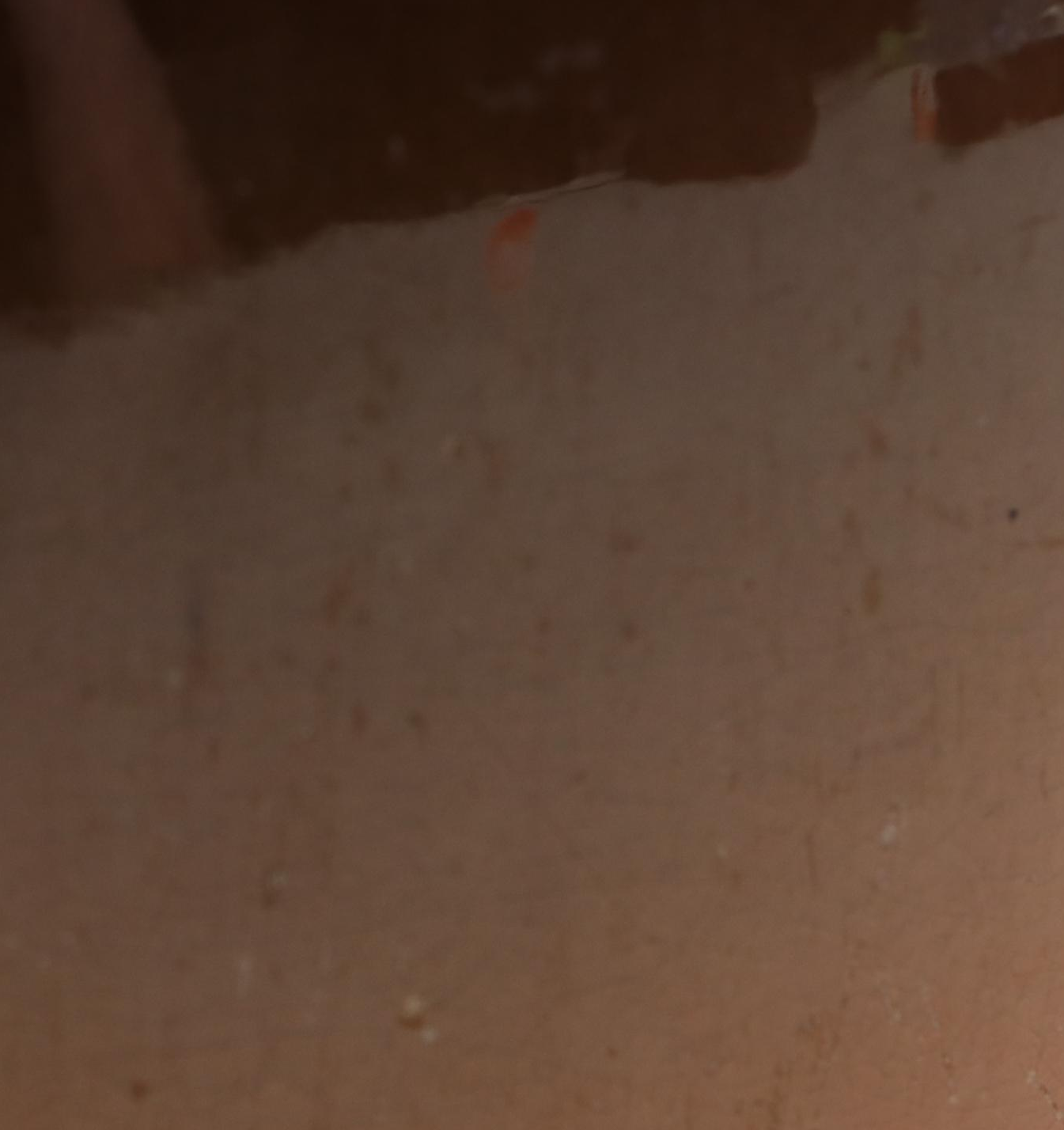 Lenore Asbury for Rookwood Pottery Standard Glaze Whiskey Jug, 1899