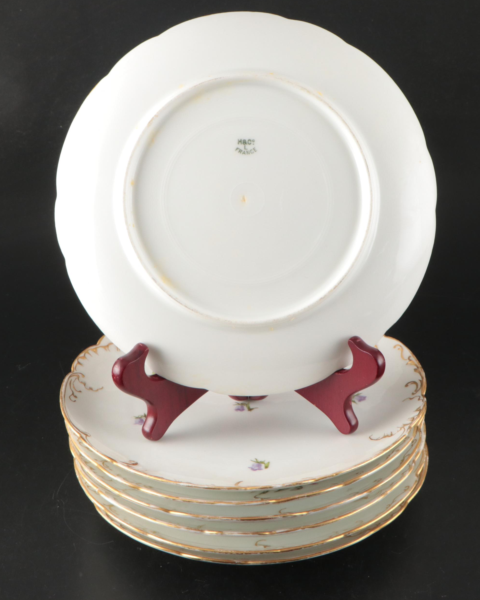 Franconia-Krautheim "Edelweiss" Porcelain Salad Plates and More Porcelain Dishes