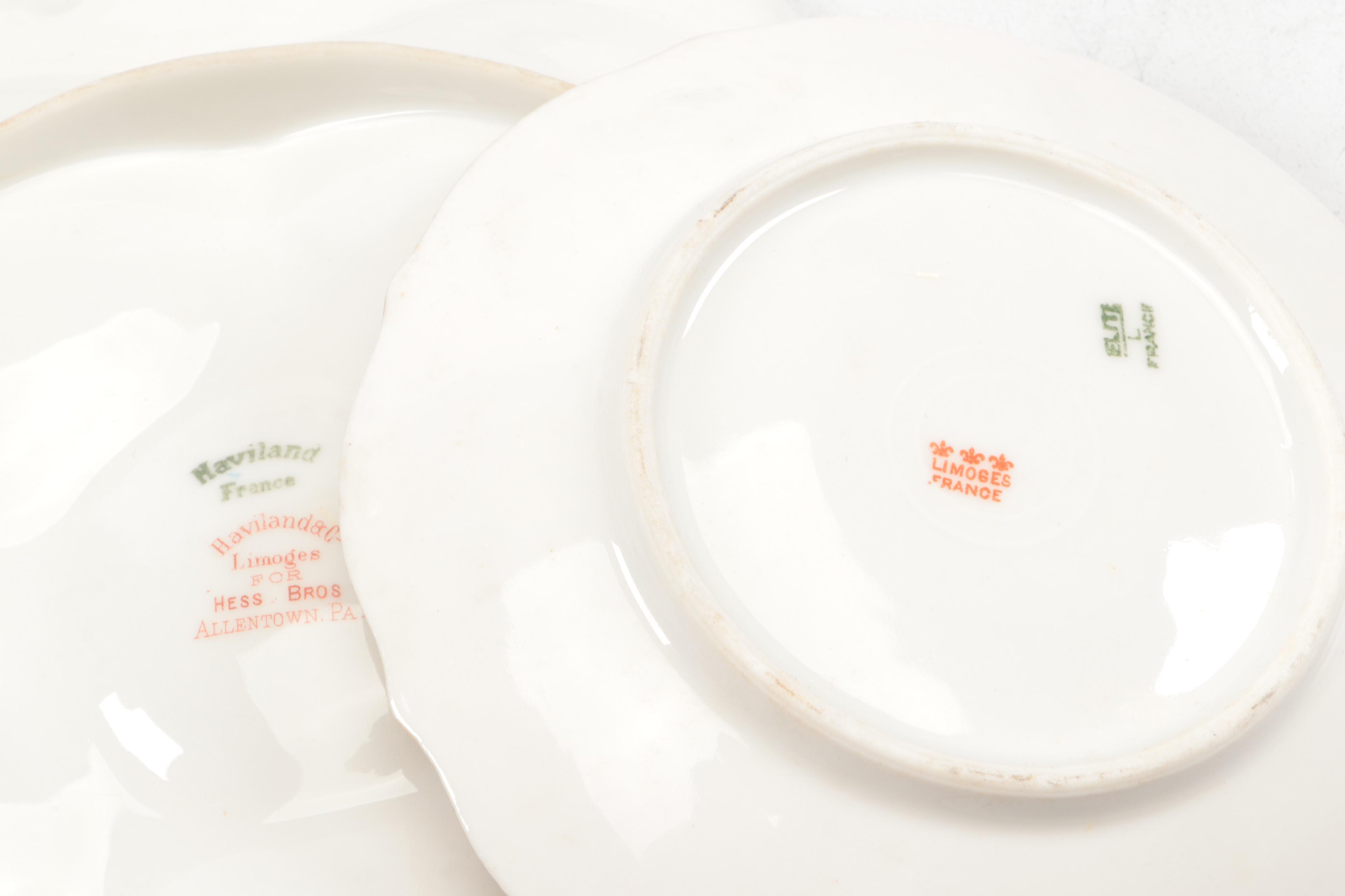 Elite with Other Limoges and Porcelain Flower Pattern Dinner and Serveware