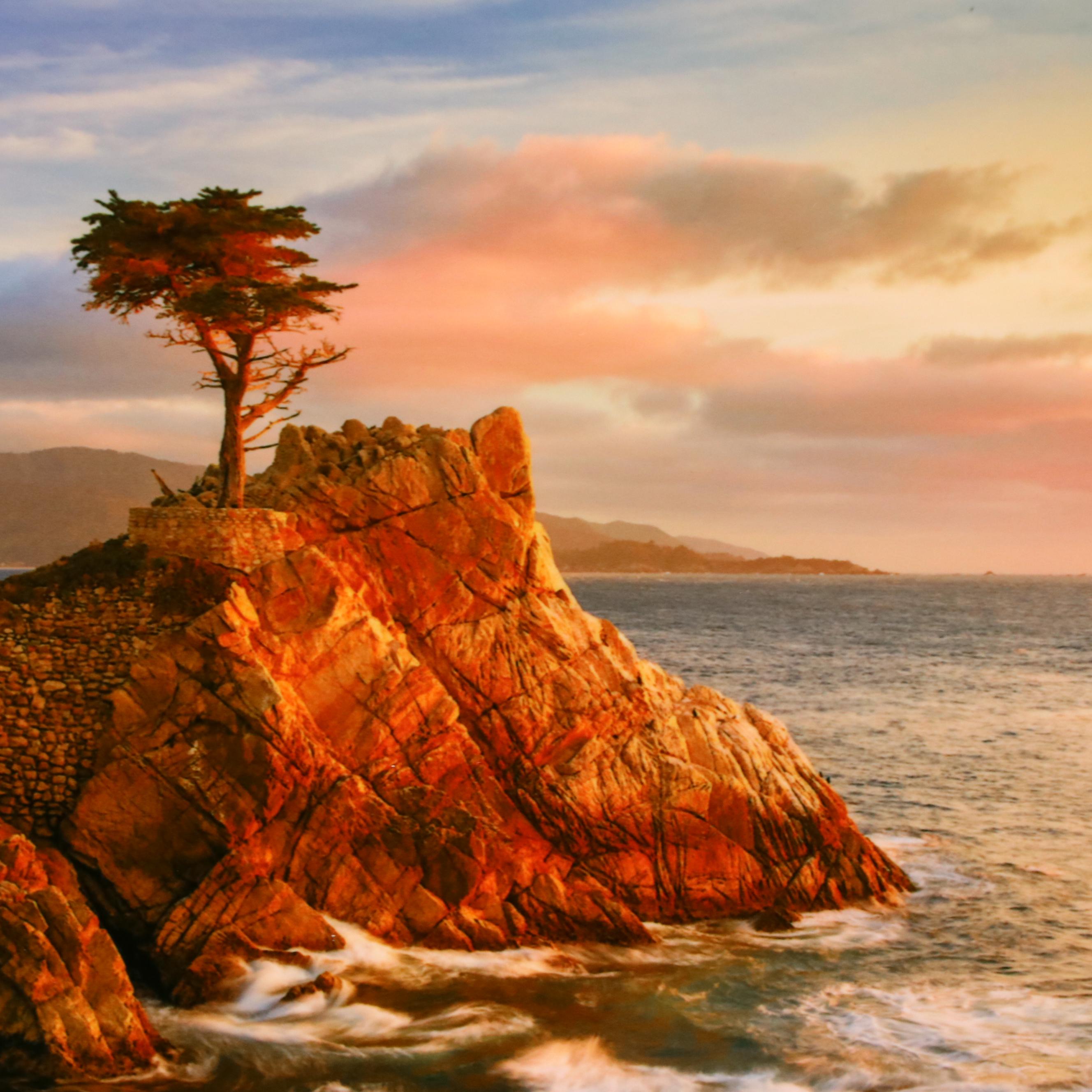 Jeannine and John Henebry Photograph Landscape of Pebble Beach "Steadfast"