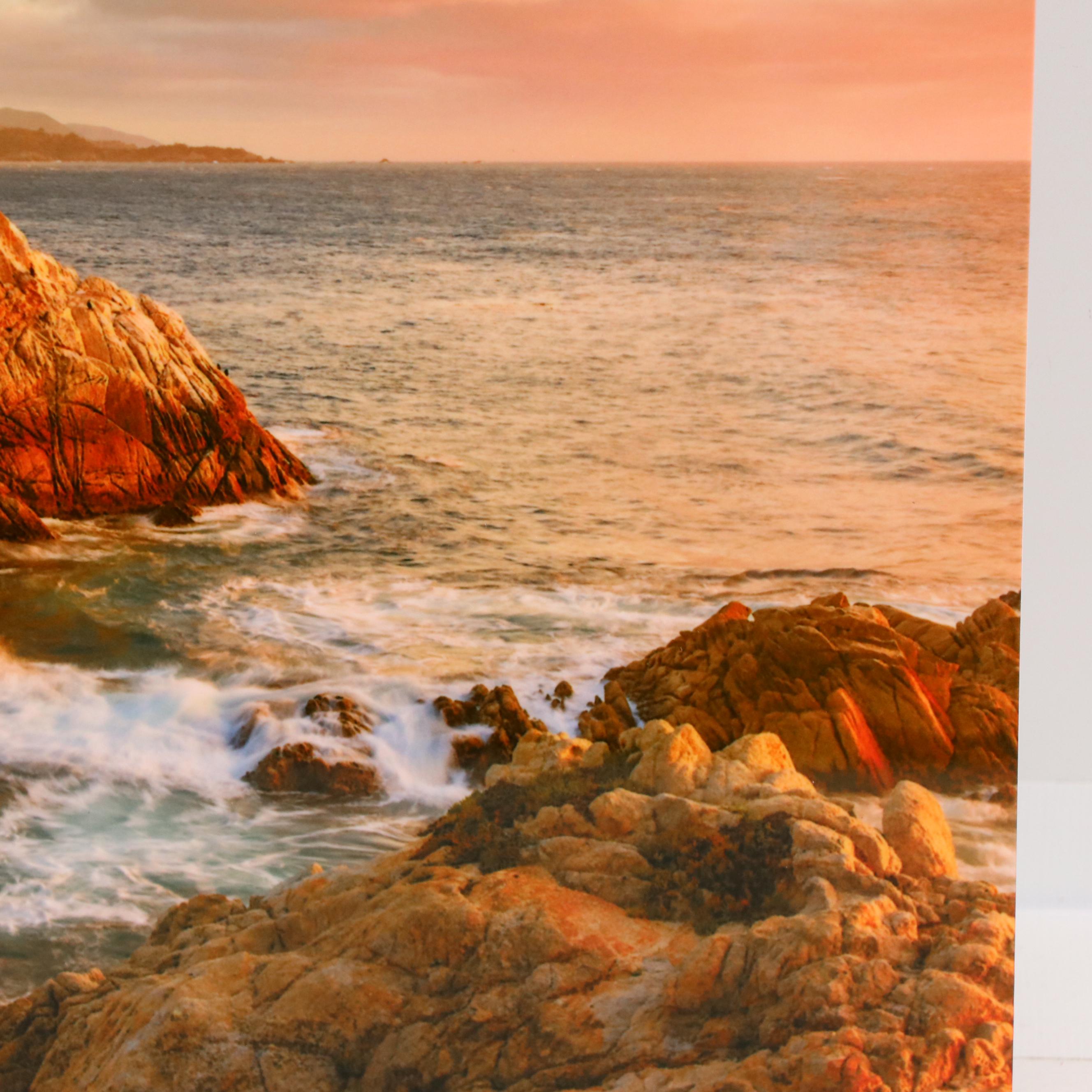 Jeannine and John Henebry Photograph Landscape of Pebble Beach "Steadfast"