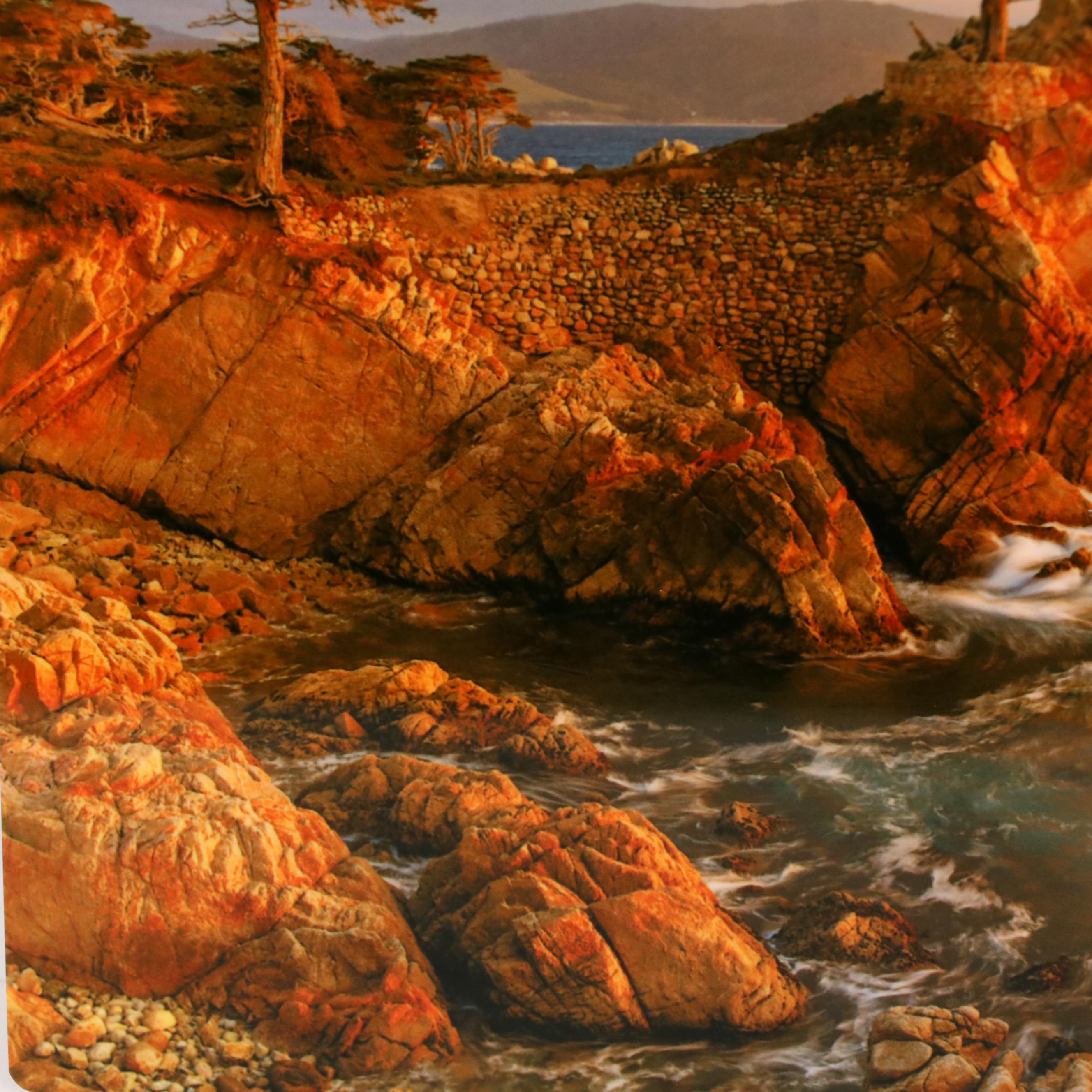 Jeannine and John Henebry Photograph Landscape of Pebble Beach "Steadfast"