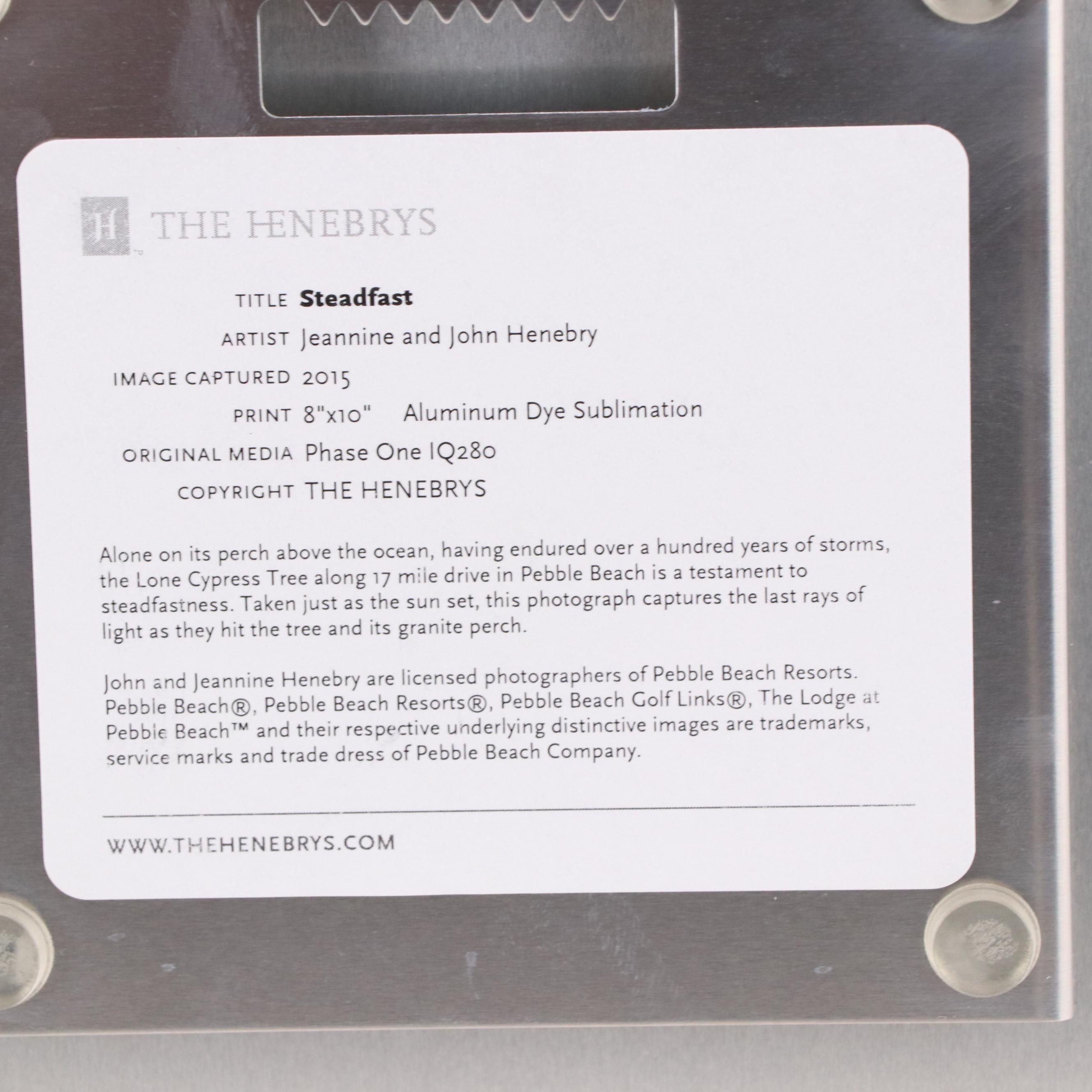 Jeannine and John Henebry Photograph Landscape of Pebble Beach "Steadfast"