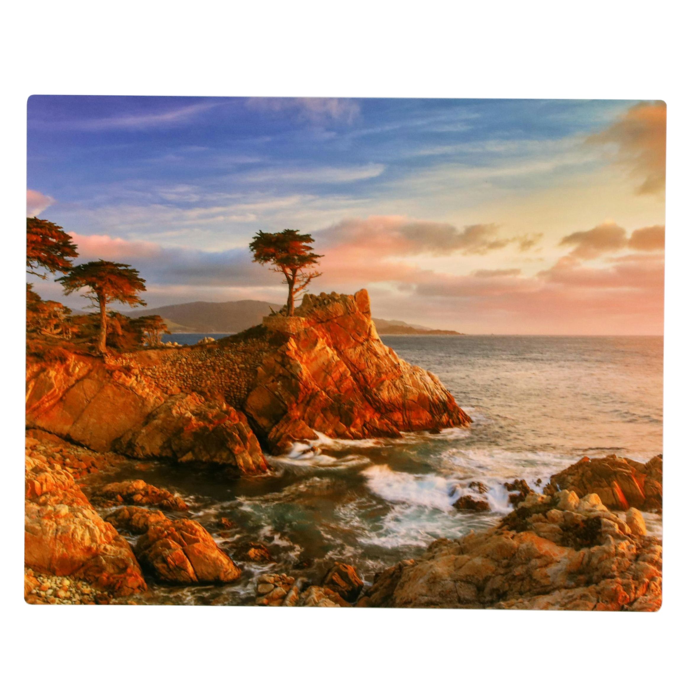 Jeannine and John Henebry Photograph Landscape of Pebble Beach "Steadfast"