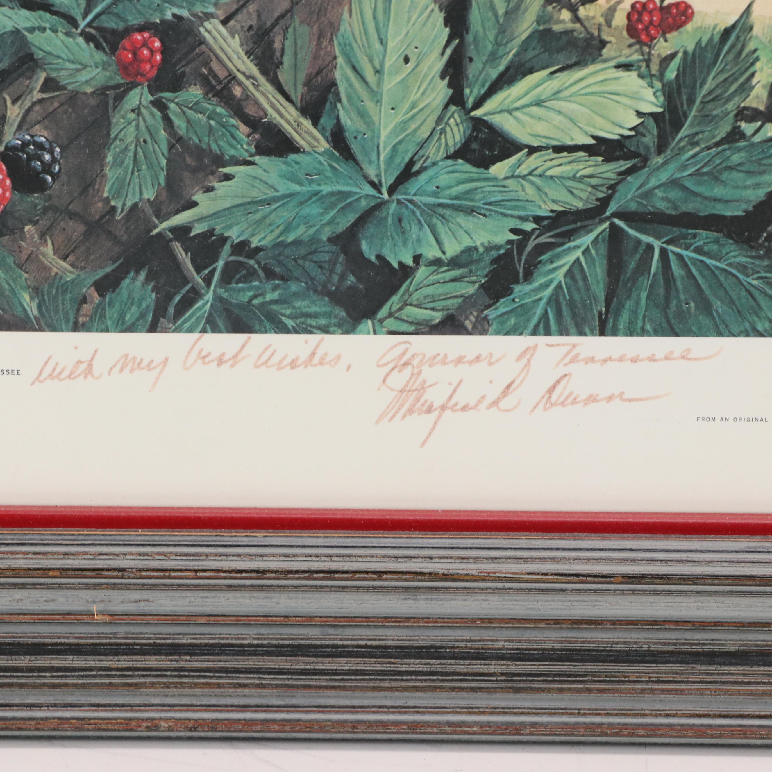 RJ McDonald Official State Version of "The Tennessee Mockingbird"