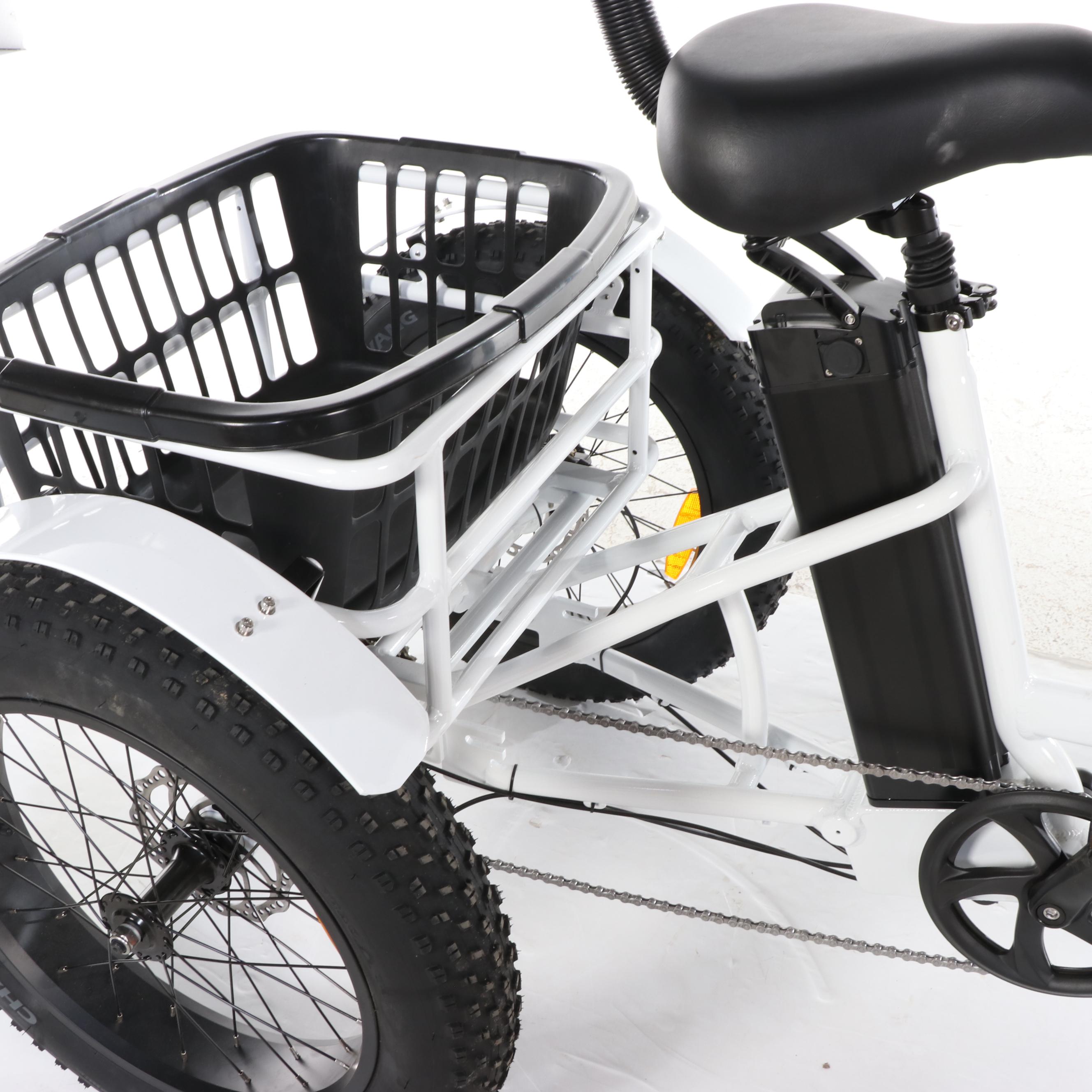 Mozo USA Anywhere Trike Electric Tricycle