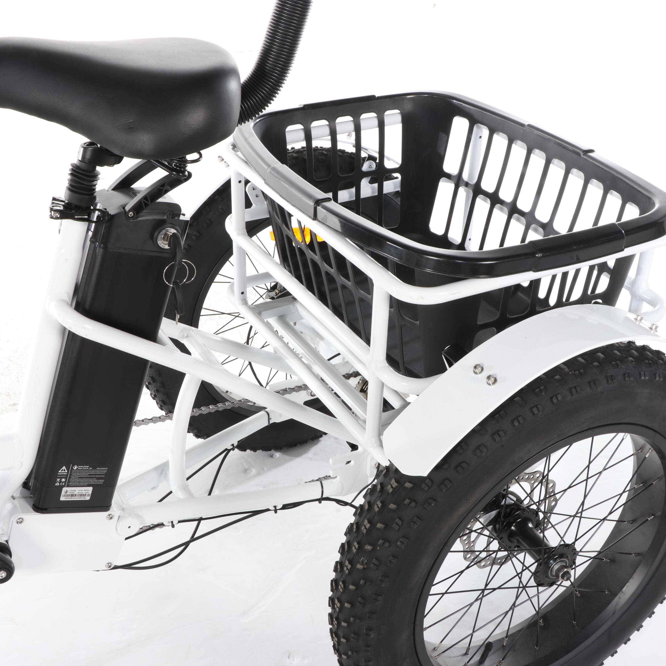 Mozo USA Anywhere Trike Electric Tricycle