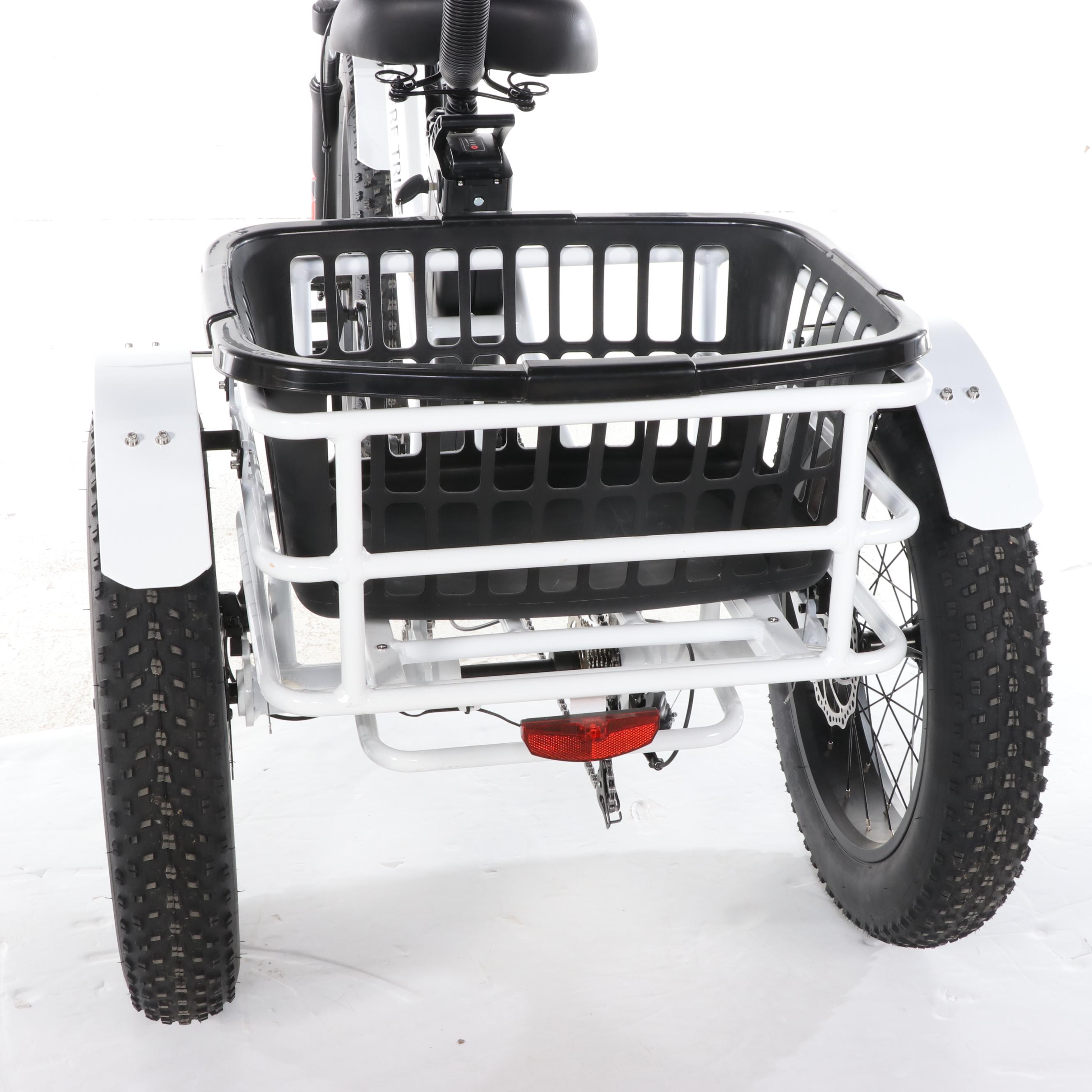 Mozo USA Anywhere Trike Electric Tricycle