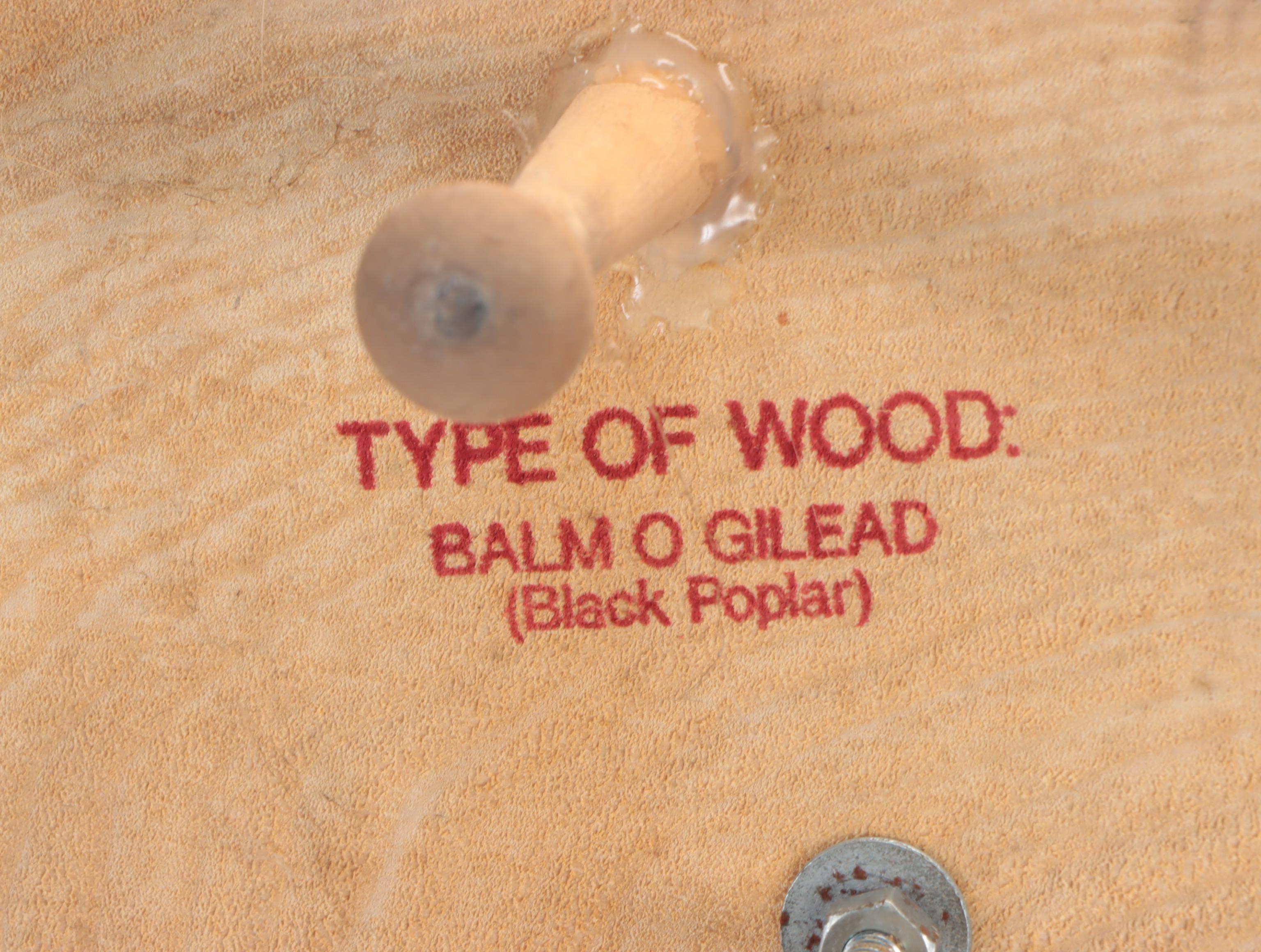 Taxidermy Coyote Full Body Mount