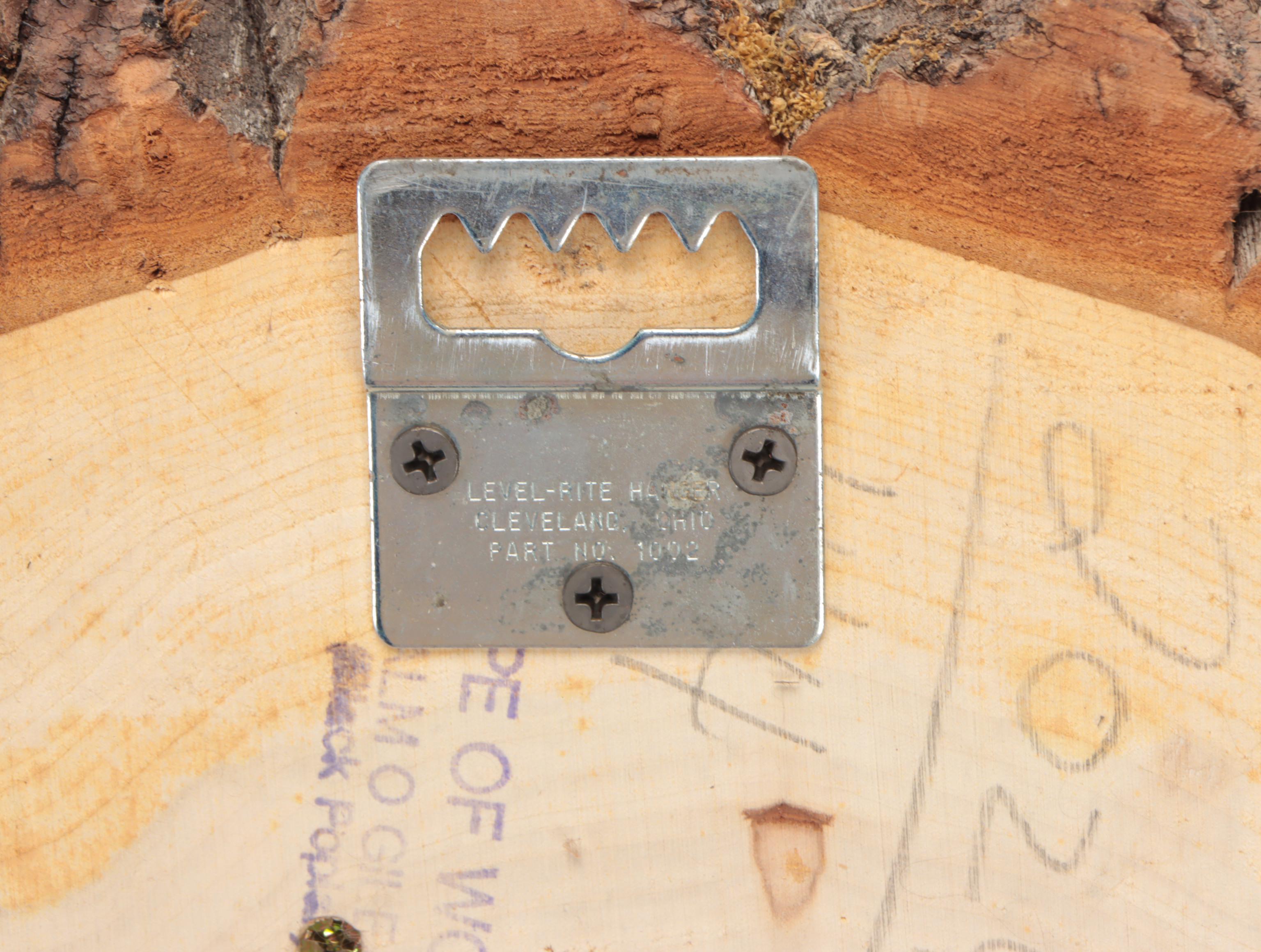 Taxidermy Mule Deer Shoulder Mount