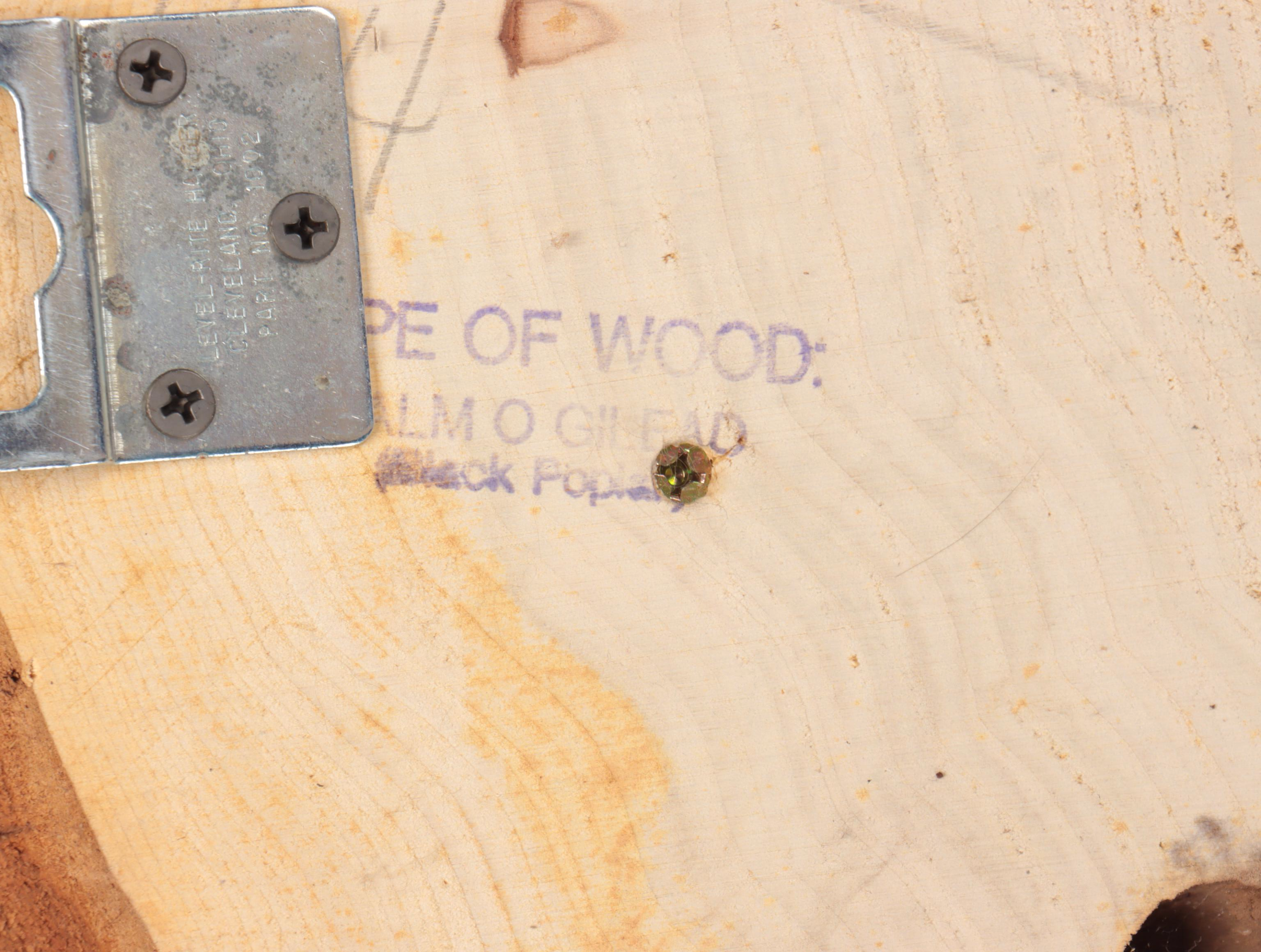 Taxidermy Mule Deer Shoulder Mount