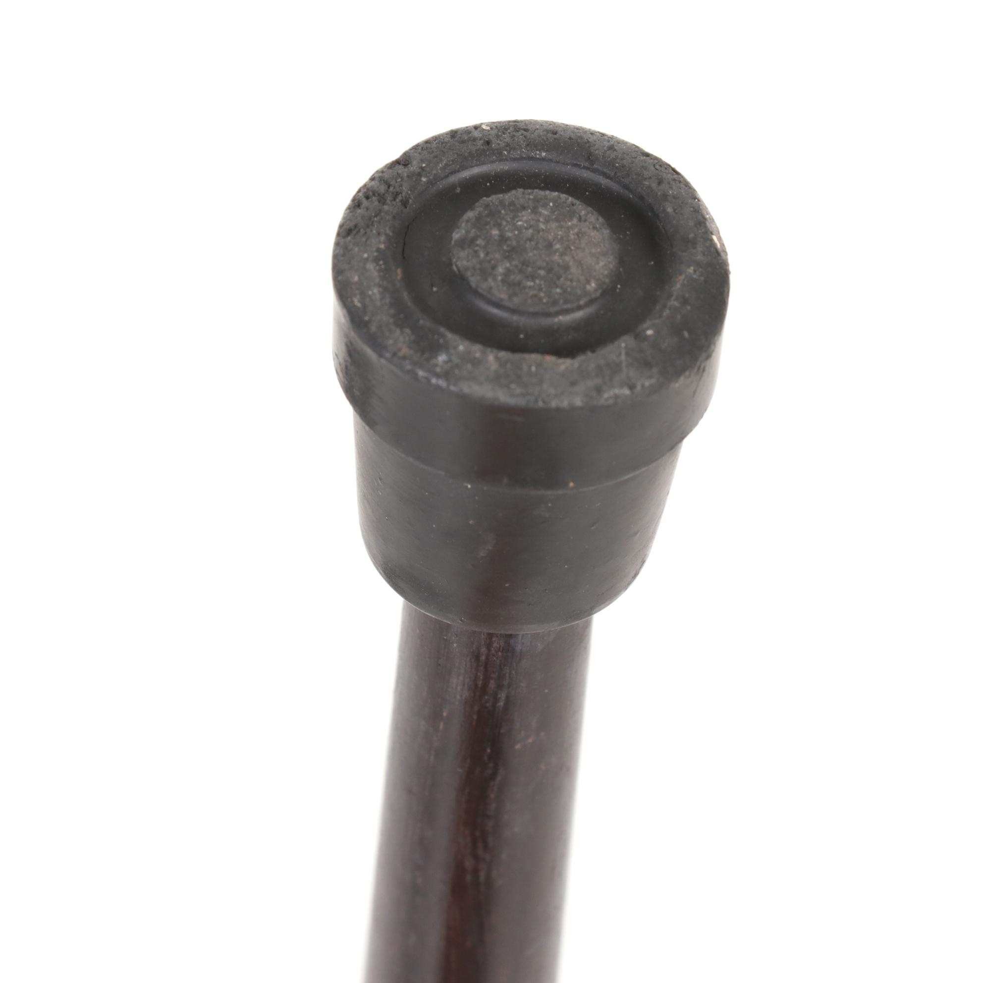 Sterling Silver Lion Handle and Ebonized Wood Sword Cane