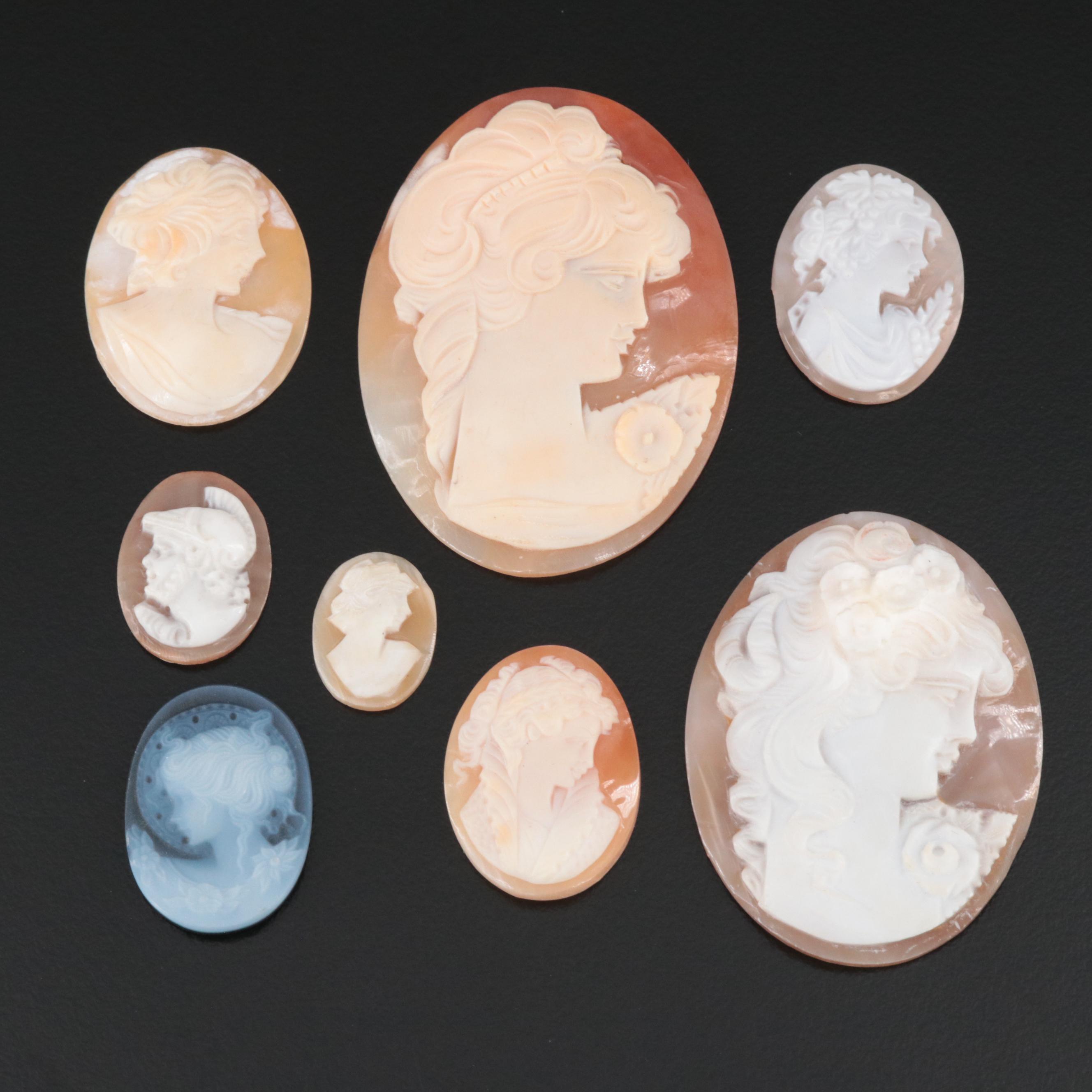 Loose Shell and Porcelain Cameo Collection