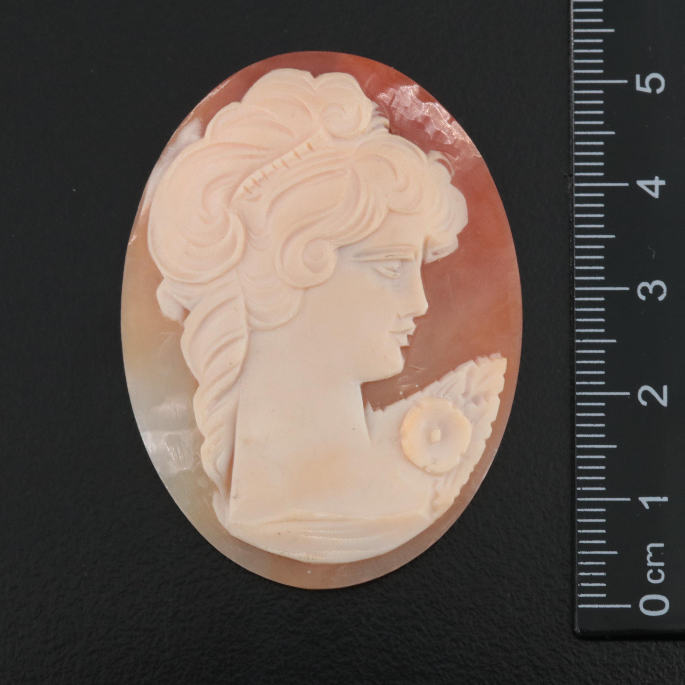 Loose Shell and Porcelain Cameo Collection