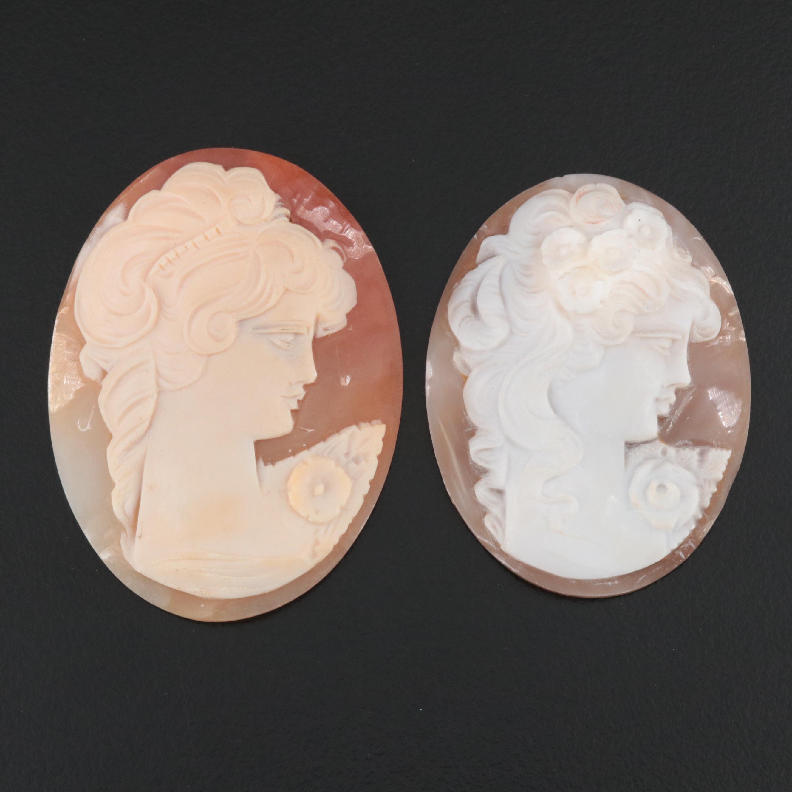 Loose Shell and Porcelain Cameo Collection