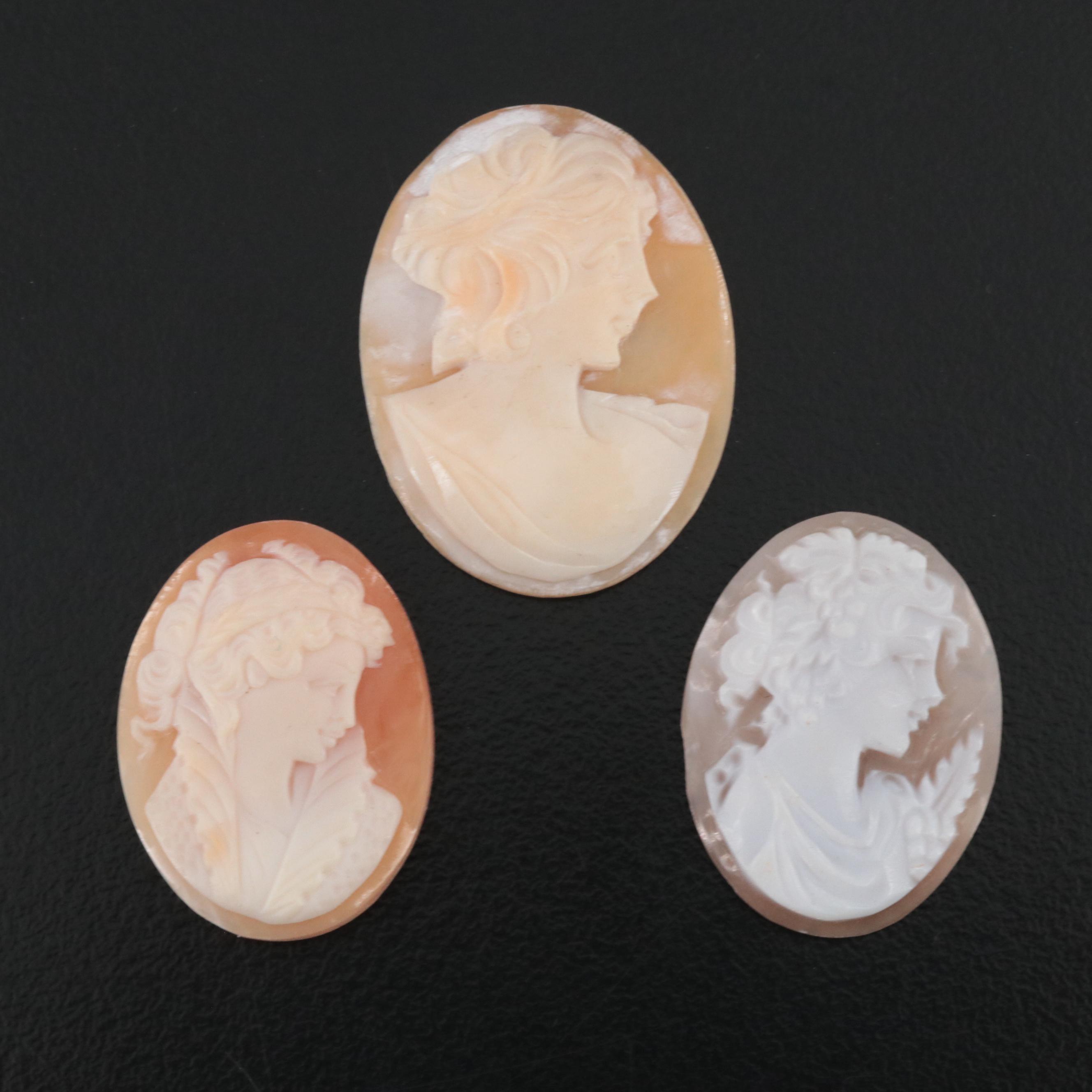 Loose Shell and Porcelain Cameo Collection