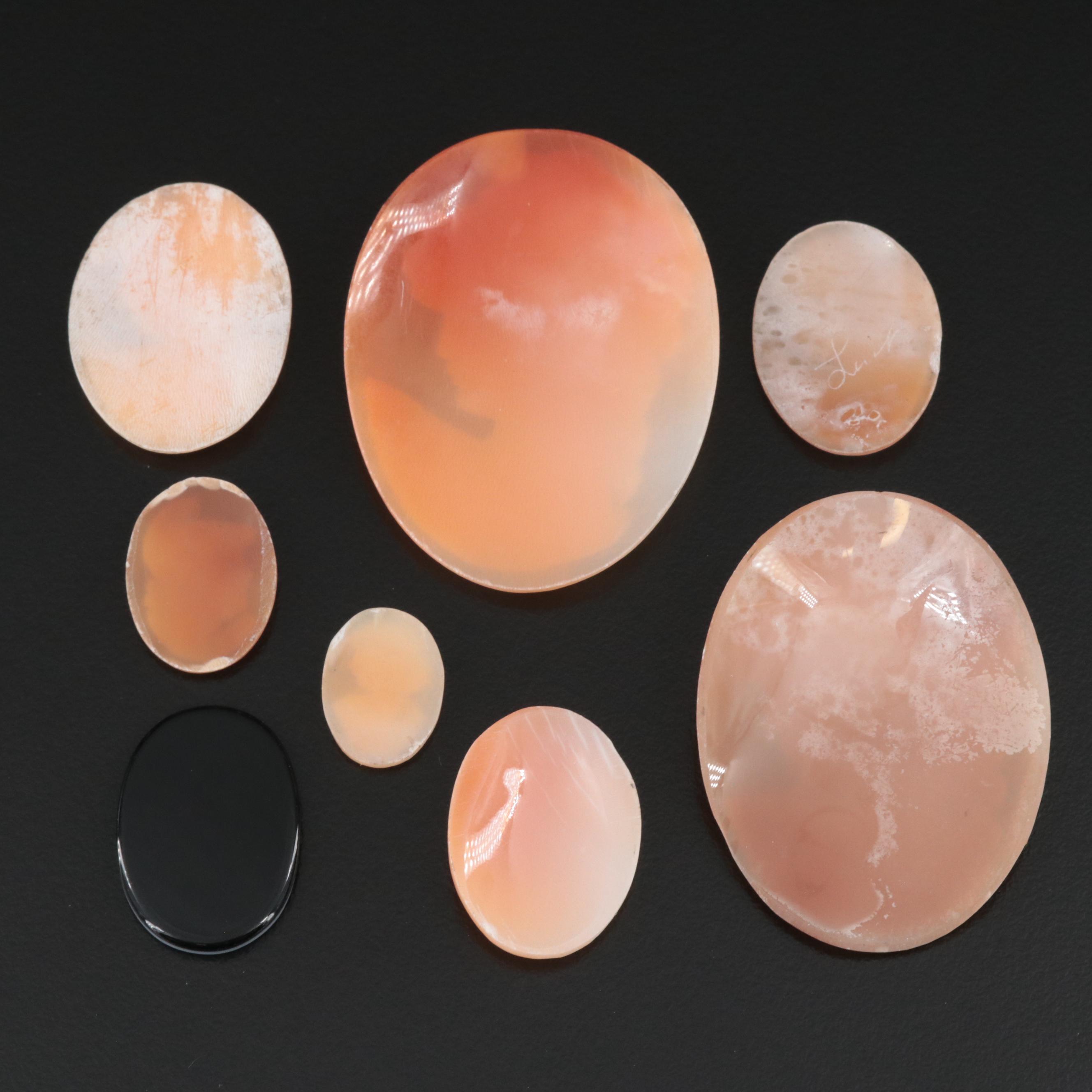 Loose Shell and Porcelain Cameo Collection