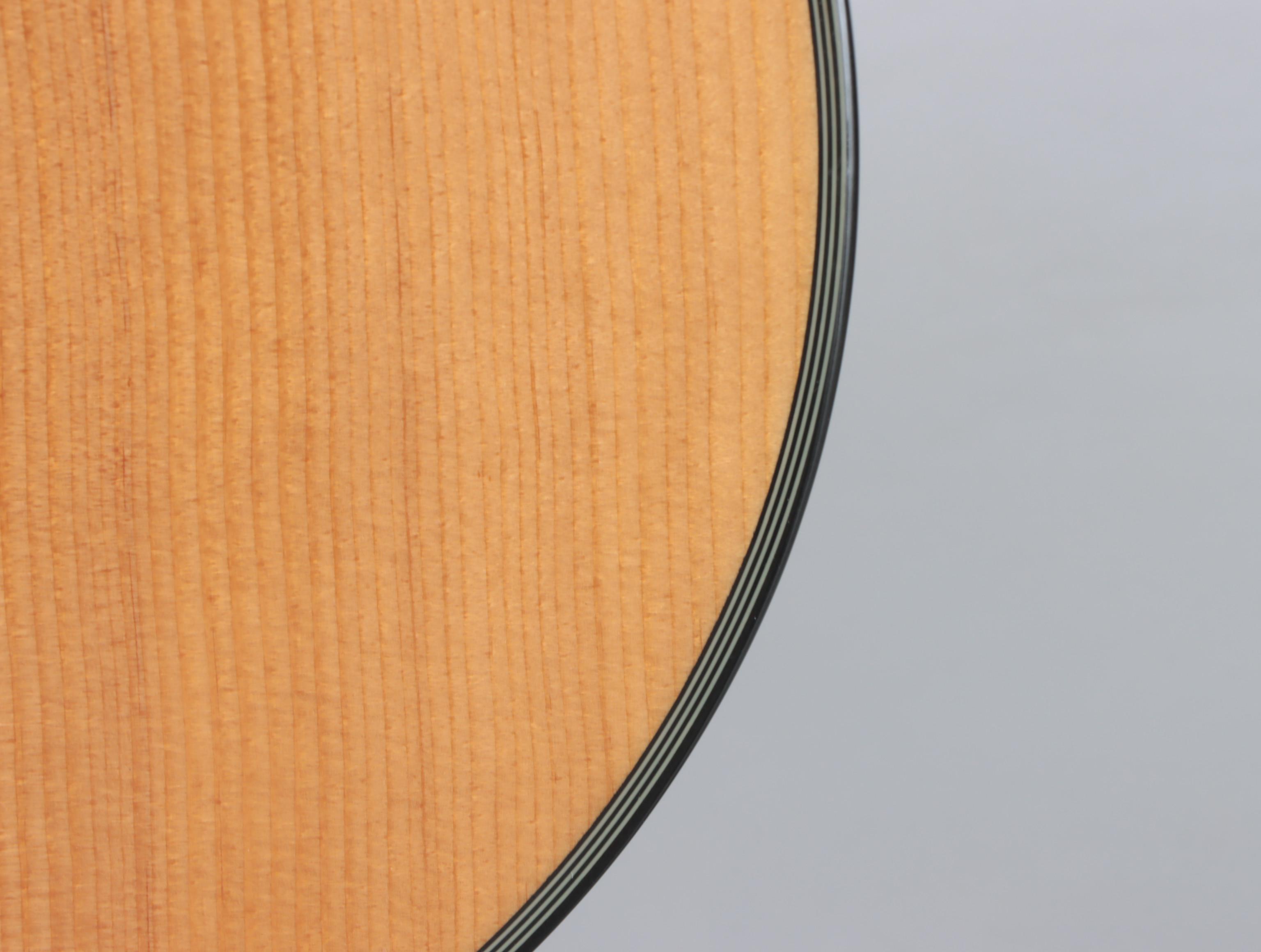 Fender DG8S Right-Handed Acoustic Guitar with Case and More