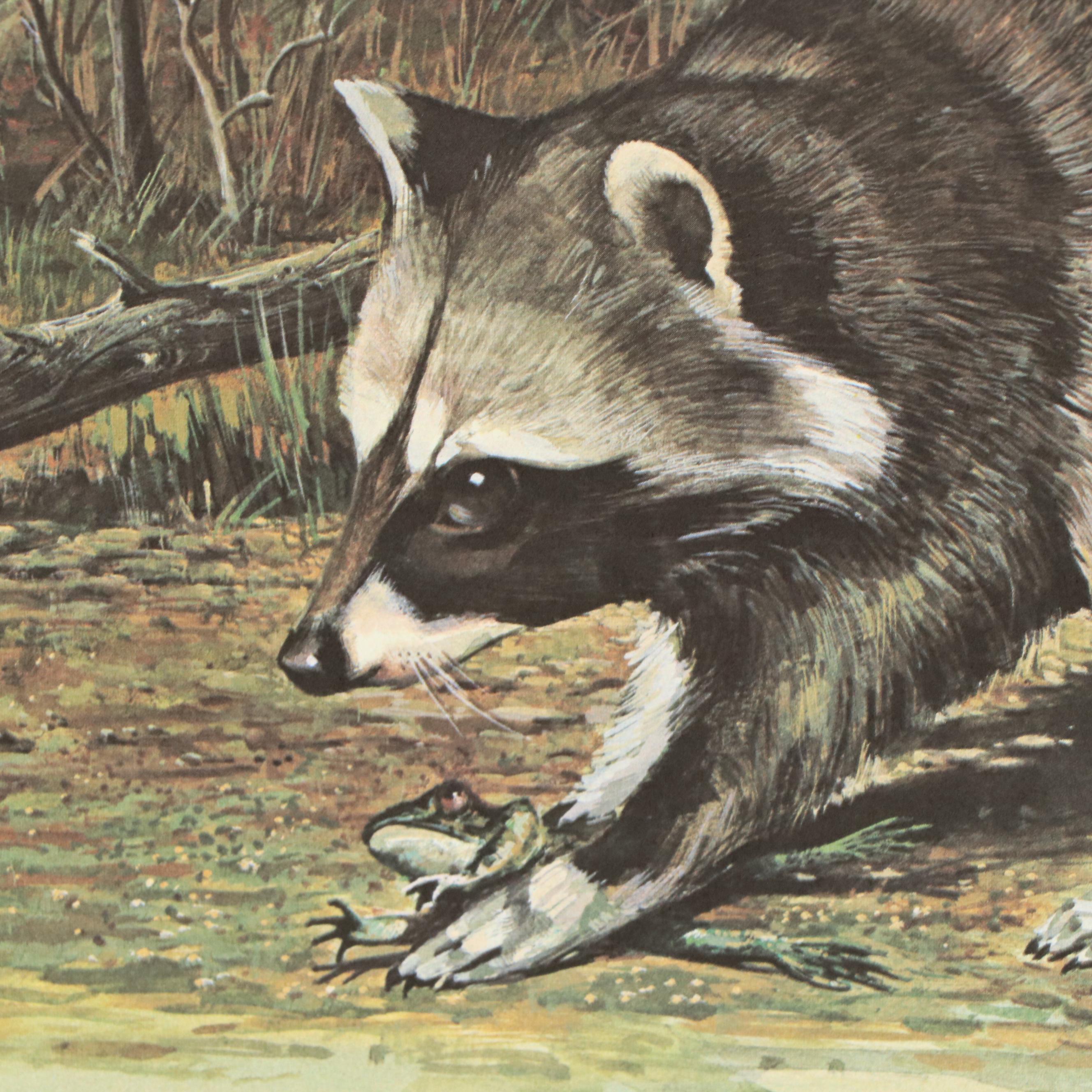 Ralph J. McDonald Offset Lithograph "The Raccoons"