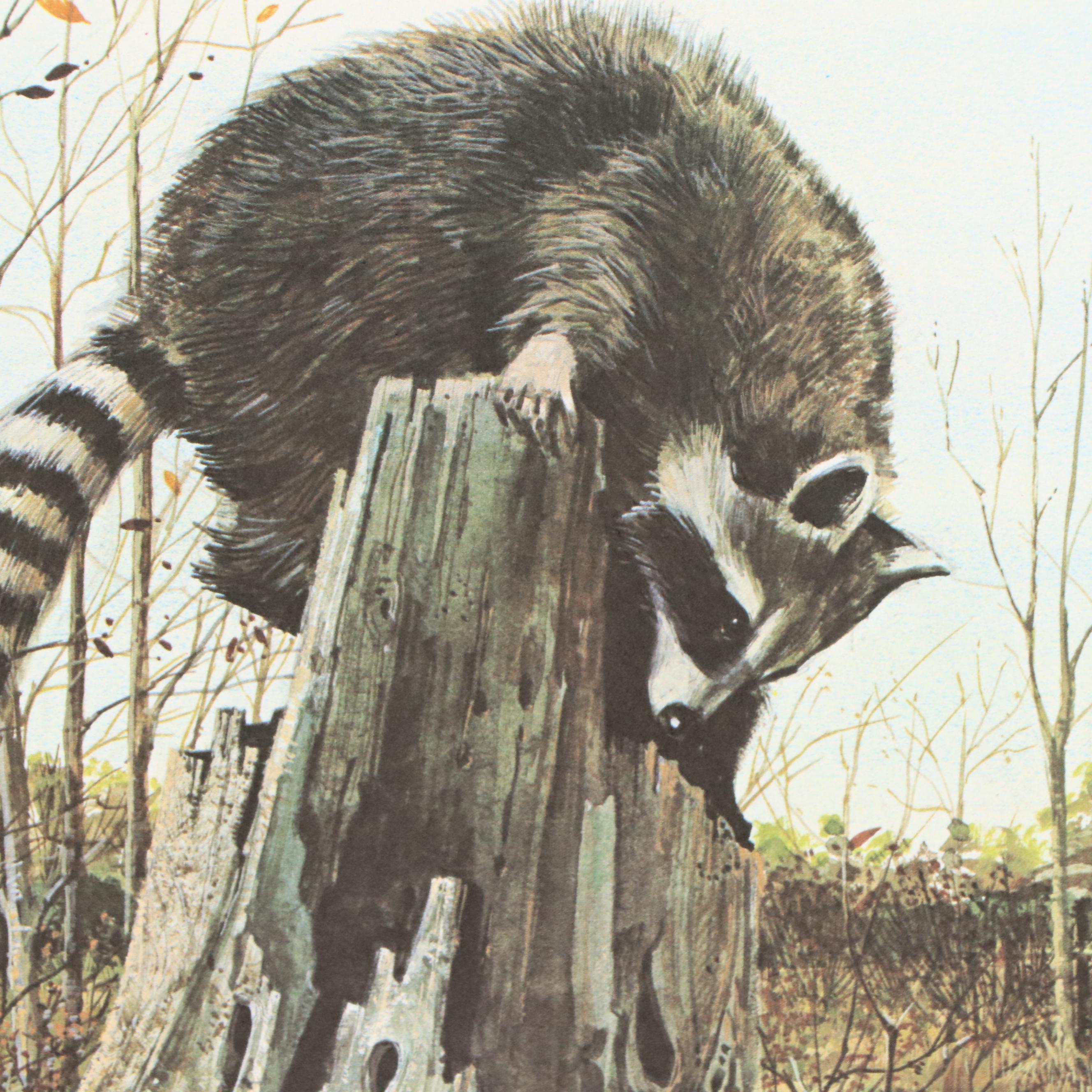 Ralph J. McDonald Offset Lithograph "The Raccoons"