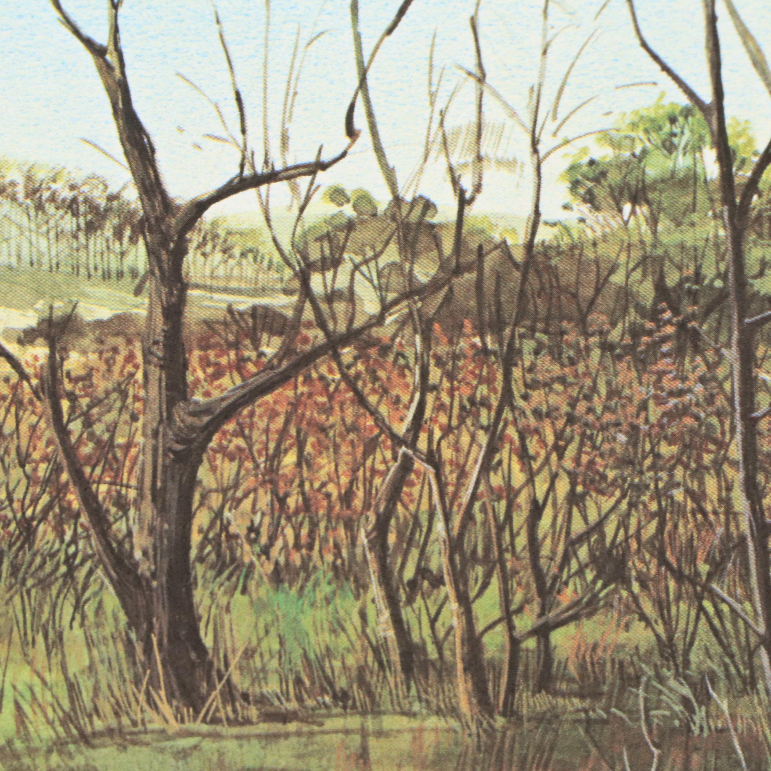 Ralph J. McDonald Offset Lithograph "The Raccoons"