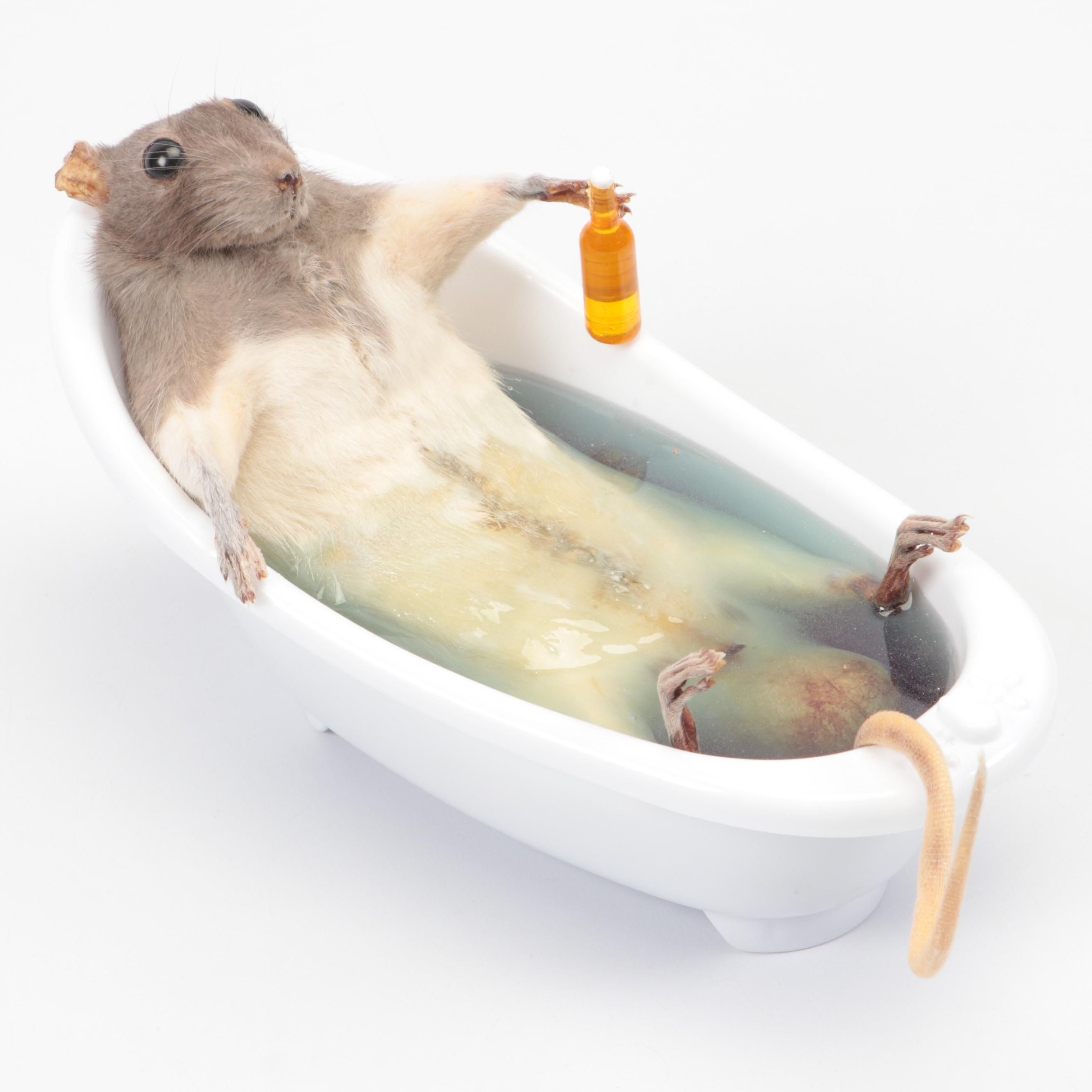 Charlie Morgan Taxidermy Rat Taking Bath Drinking Corona, 2024