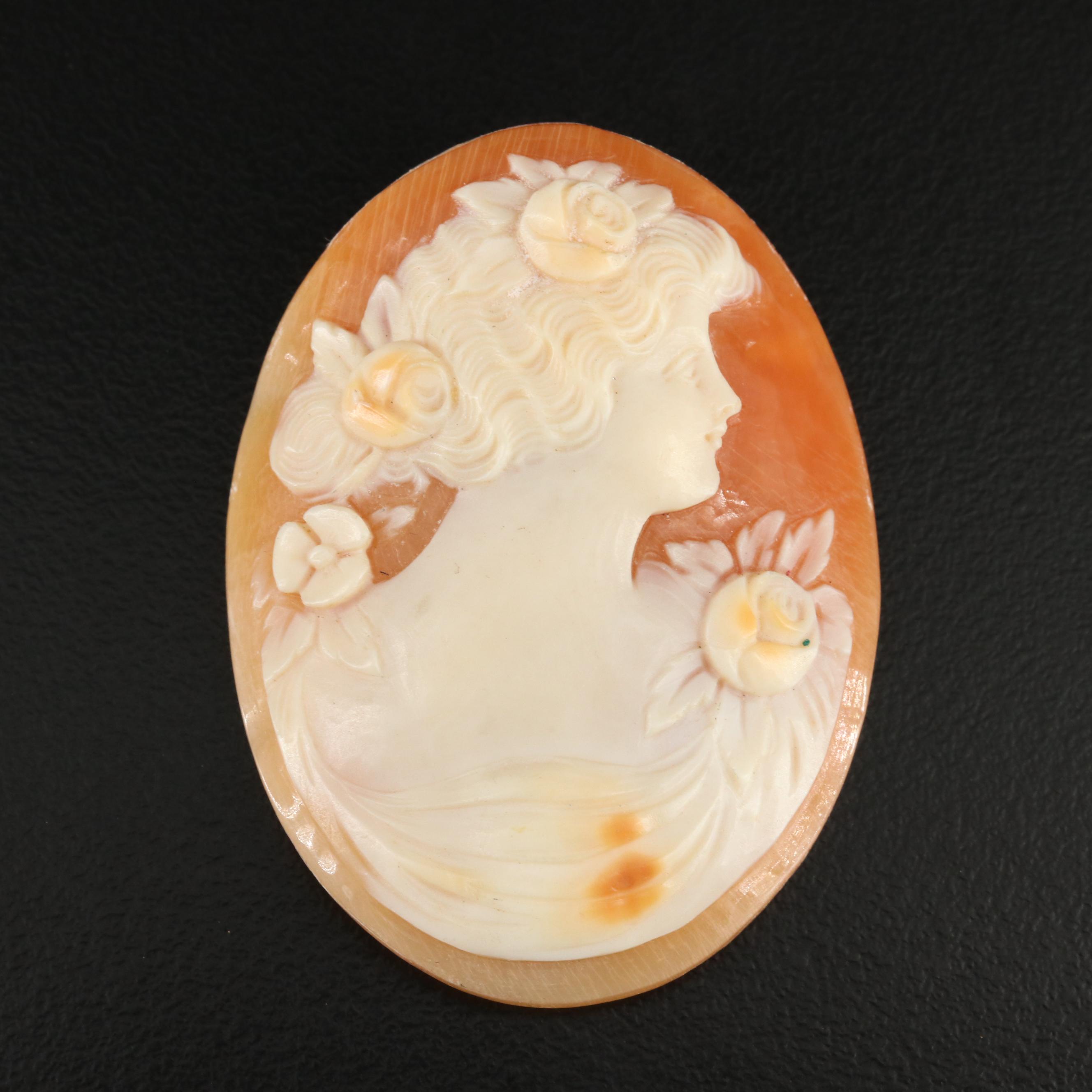 Loose Shell Cameo