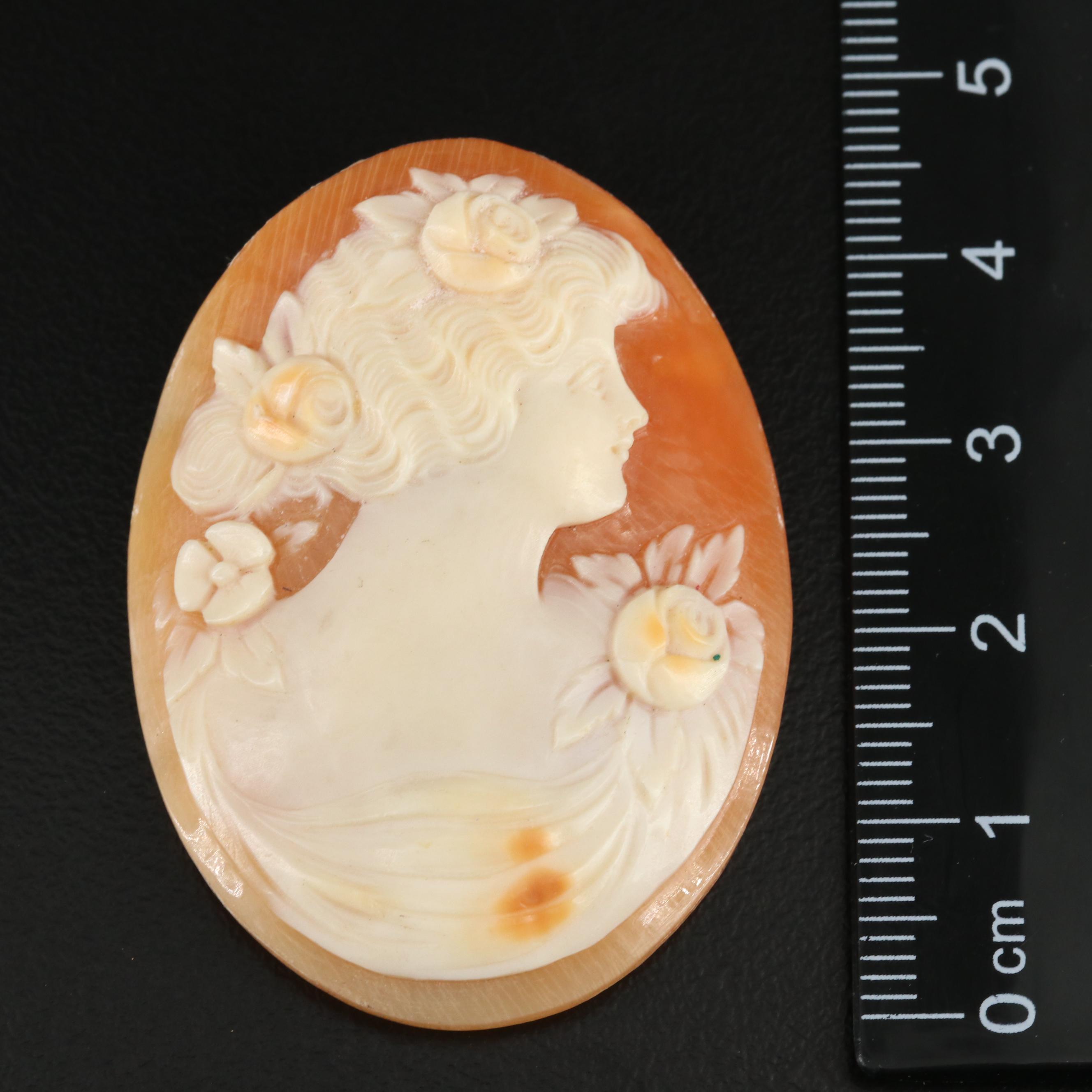Loose Shell Cameo