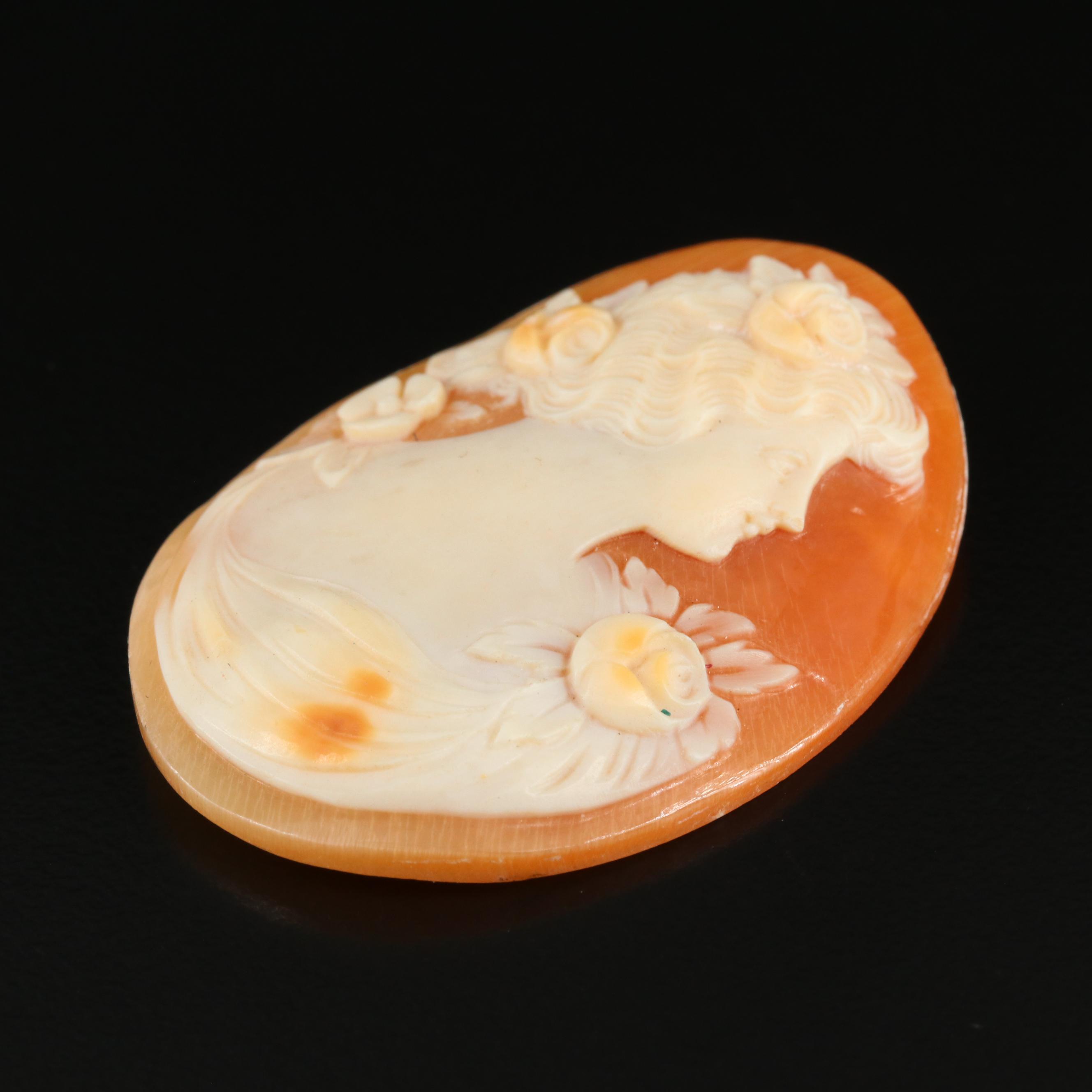 Loose Shell Cameo