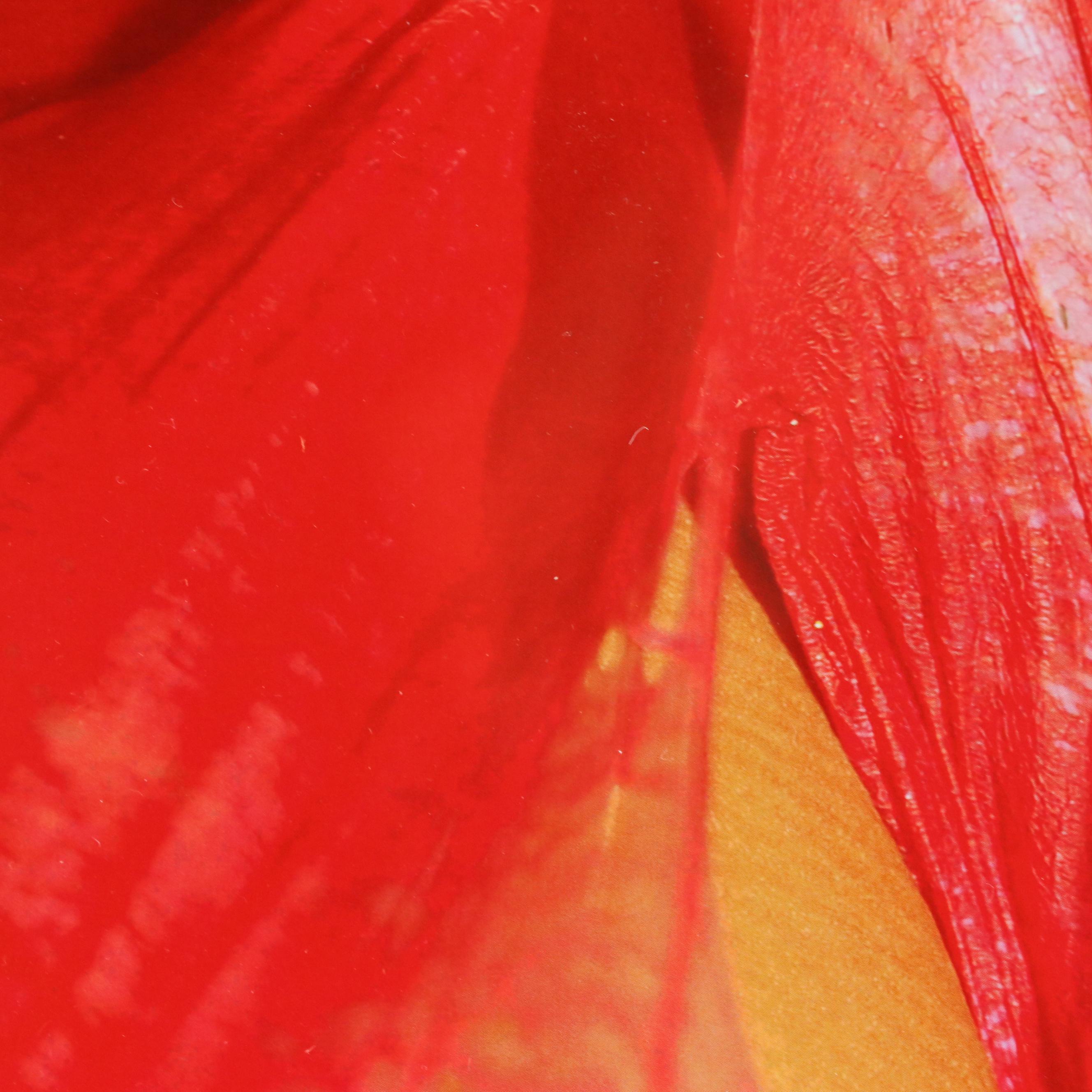 Jeffrey Scott Lewis Abstract Digital Print