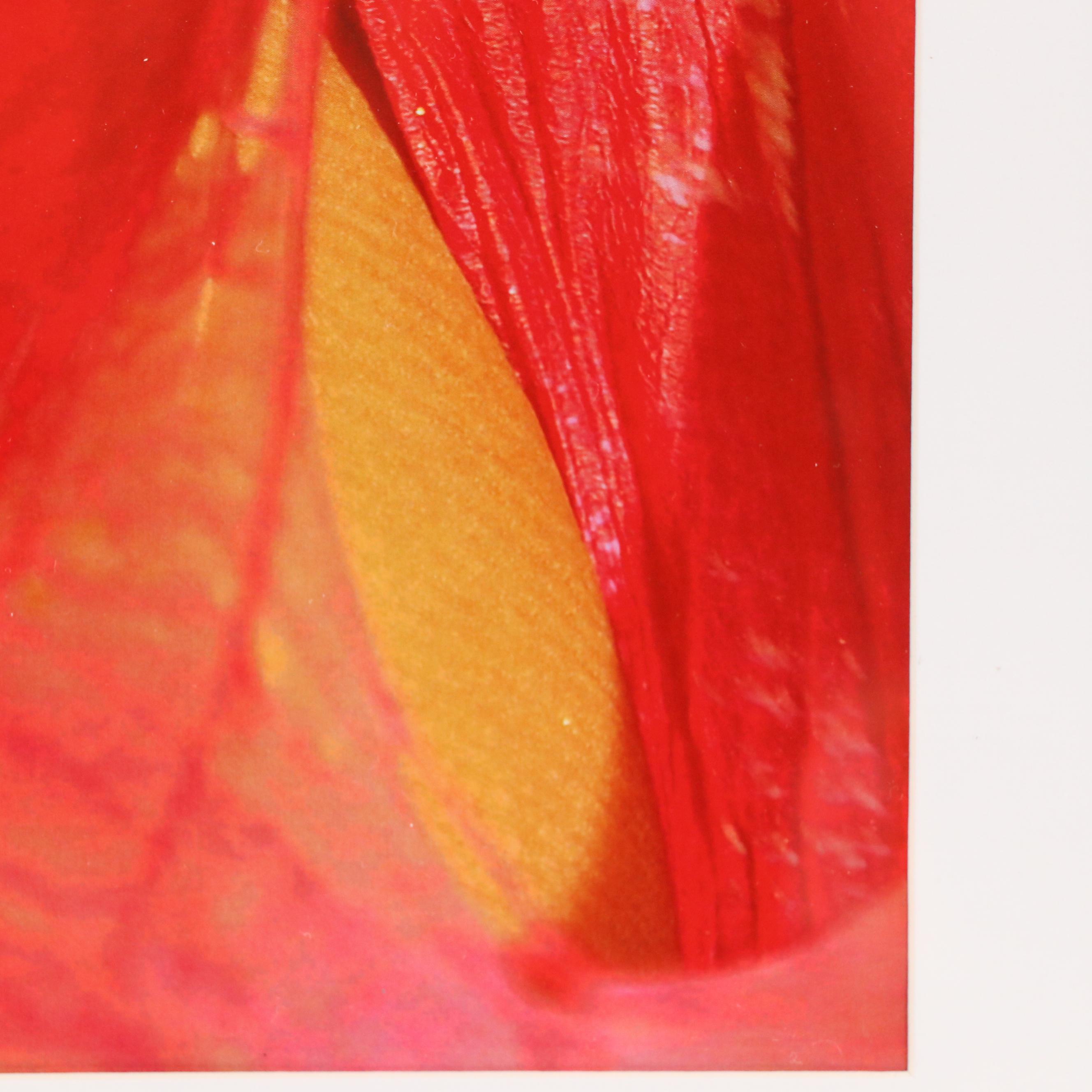 Jeffrey Scott Lewis Abstract Digital Print