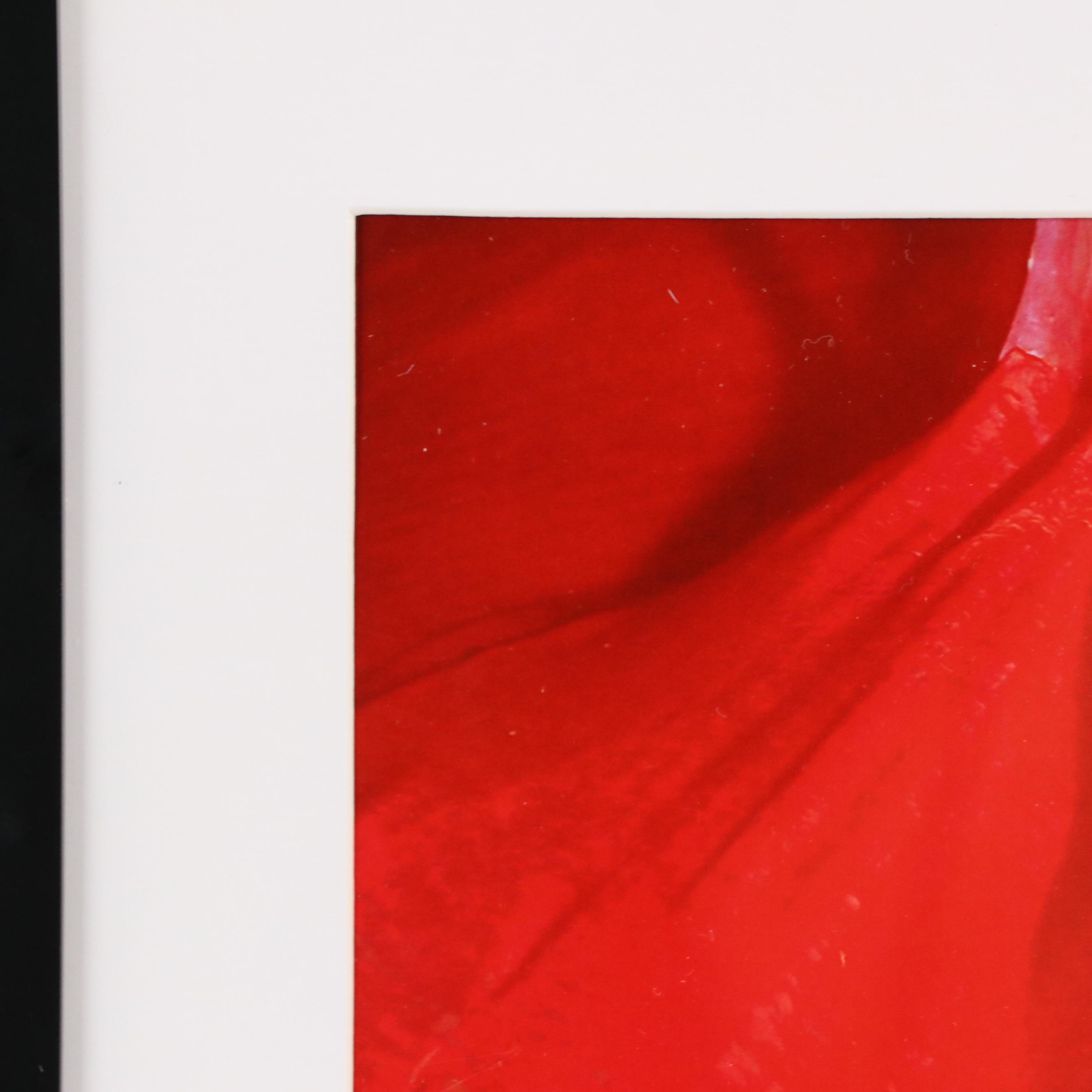 Jeffrey Scott Lewis Abstract Digital Print