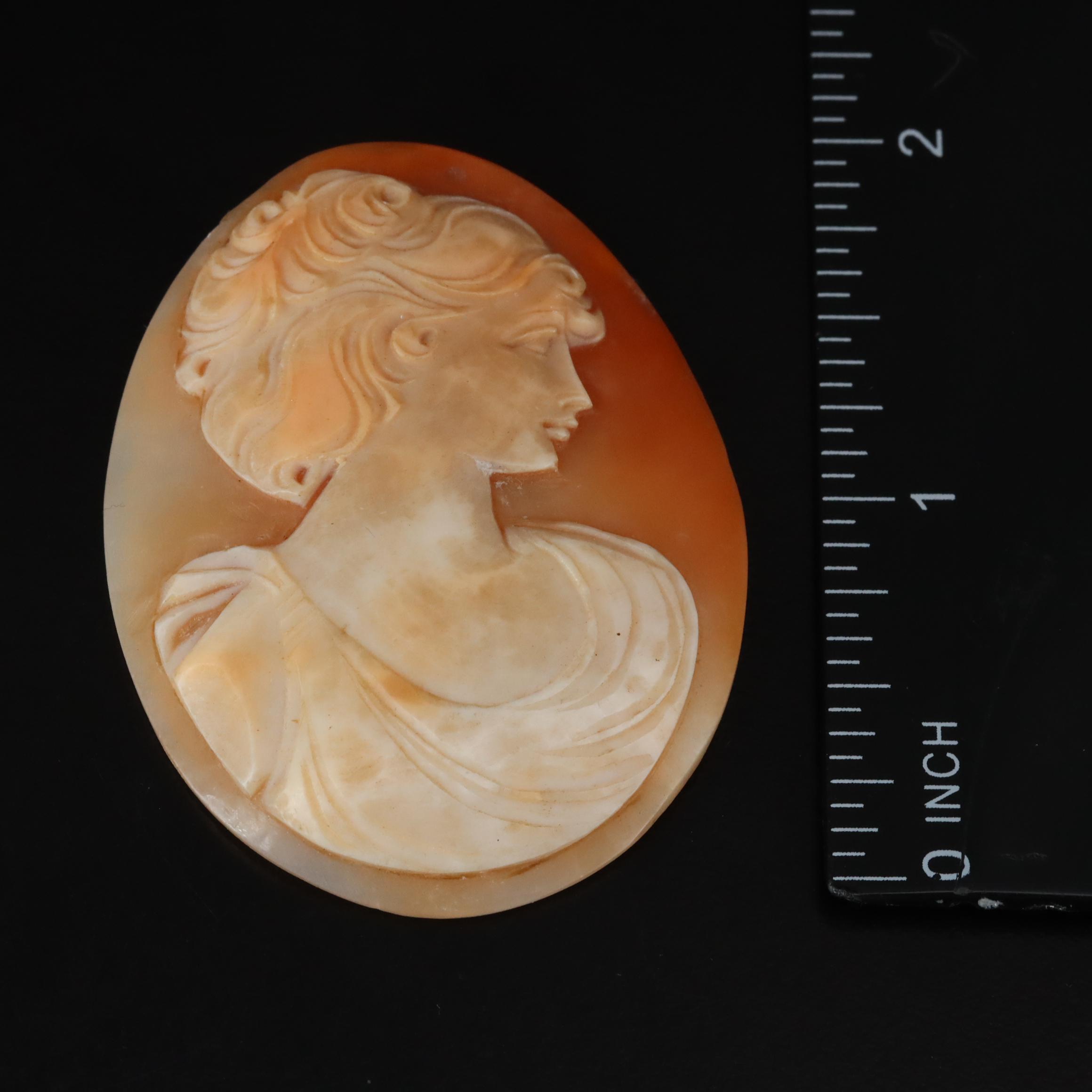 Loose Mother-of-Pearl and Shell Carved Cameos