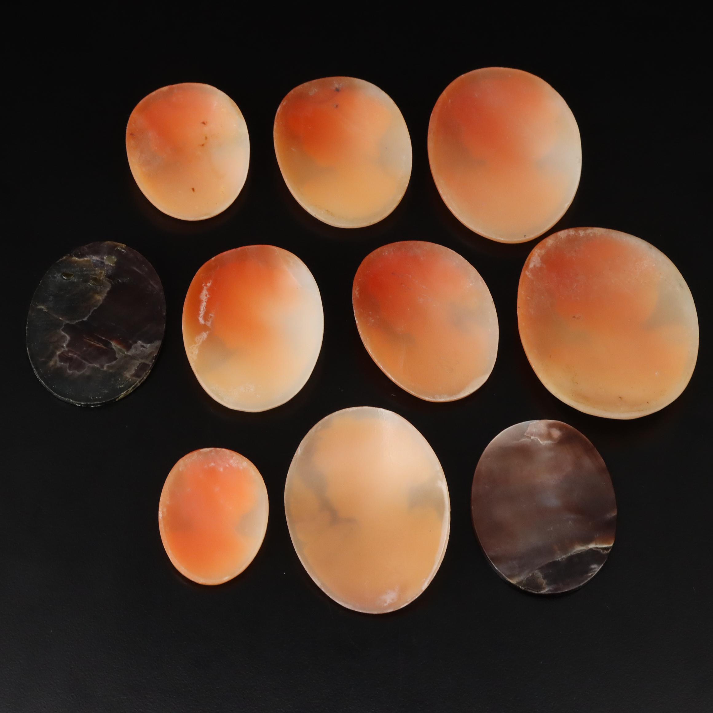 Loose Mother-of-Pearl and Shell Carved Cameos