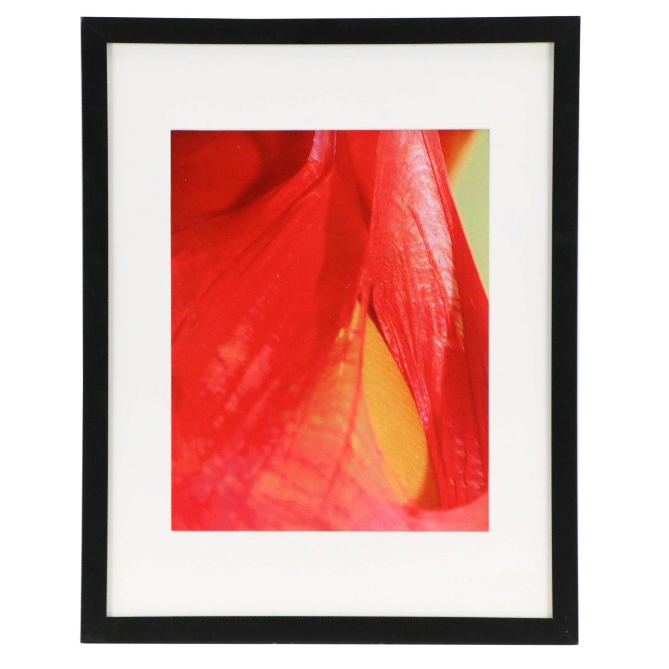 Jeffrey Scott Lewis Abstract Digital Print