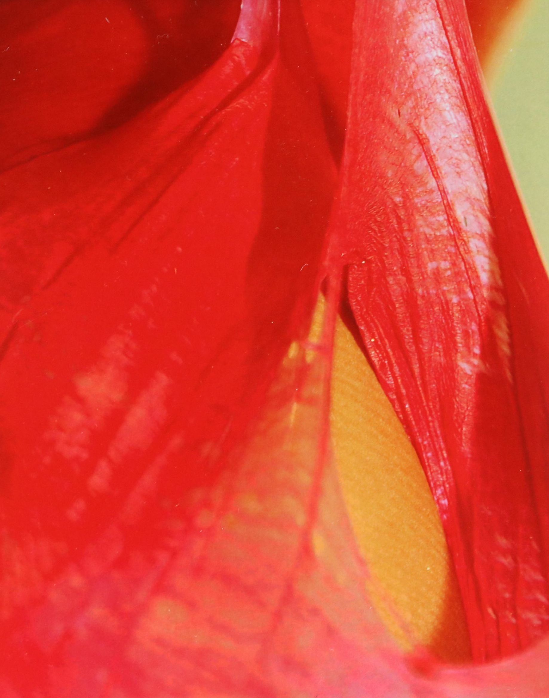 Jeffrey Scott Lewis Abstract Digital Print