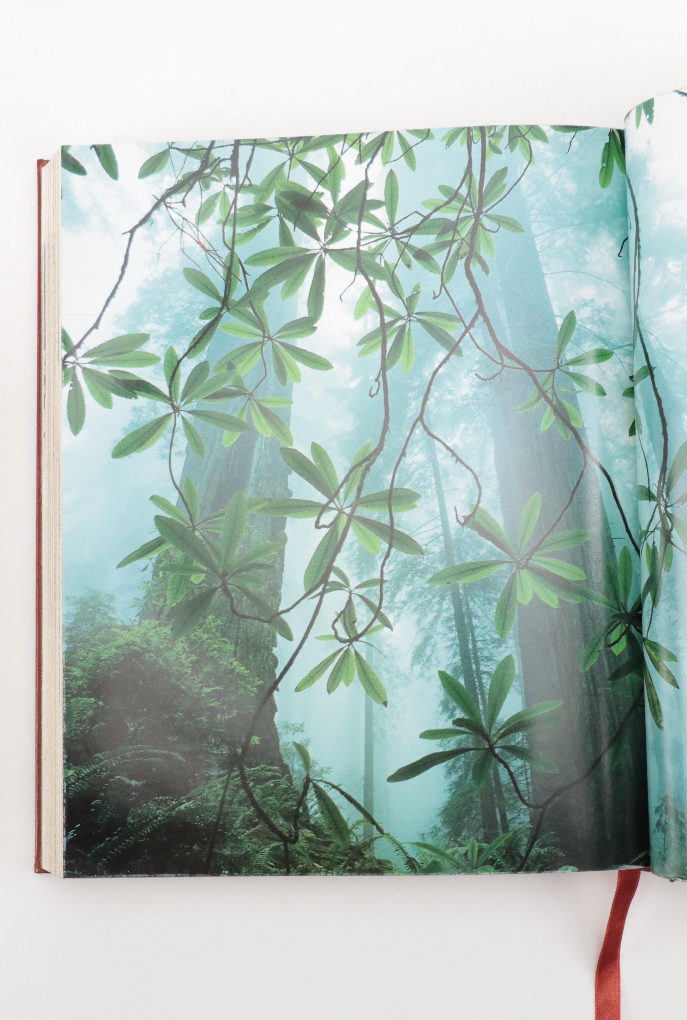 National Geographic Encyclopedia, World War II Documentaries and More VHS Tapes