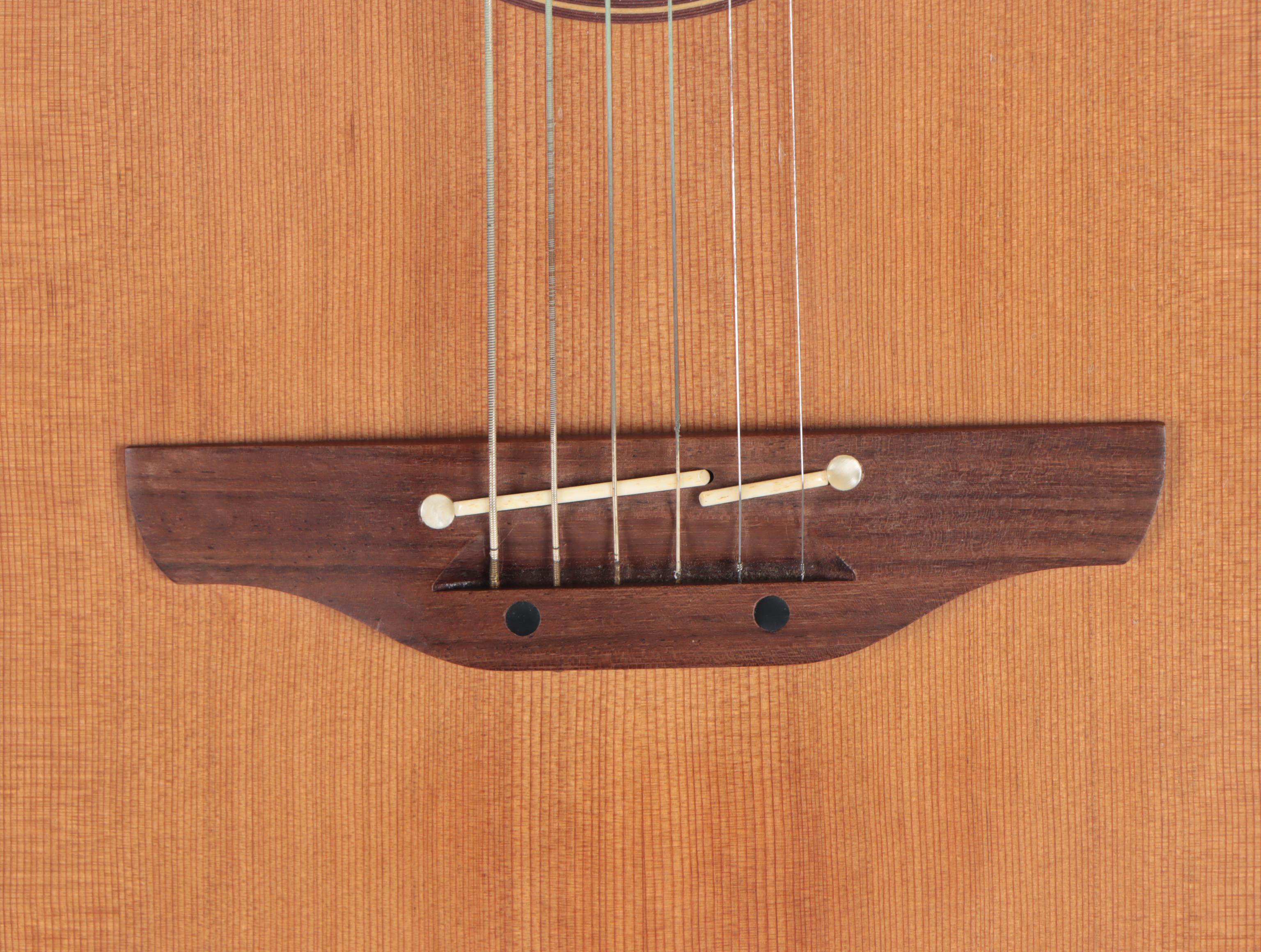 Takamine EAN10C Acoustic-Electric Guitar with Hardshell Case, Early 21st Century