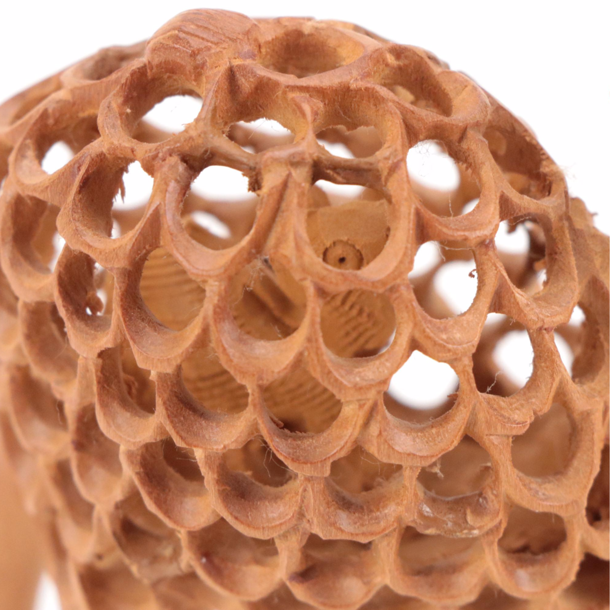 Indian Hand-Carved Wooden Elephants, Camel and Ceremonial Elephant & Rider