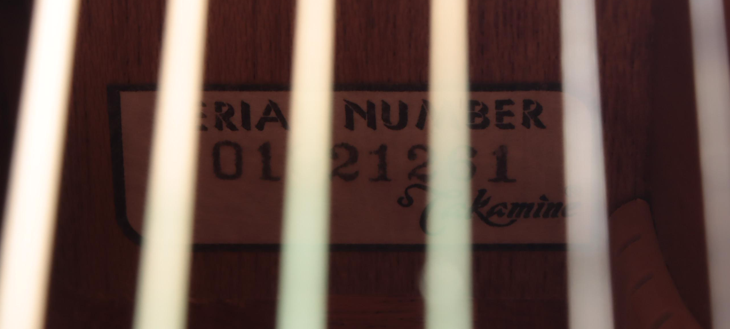 Takamine EAN10C Acoustic-Electric Guitar with Hardshell Case, Early 21st Century