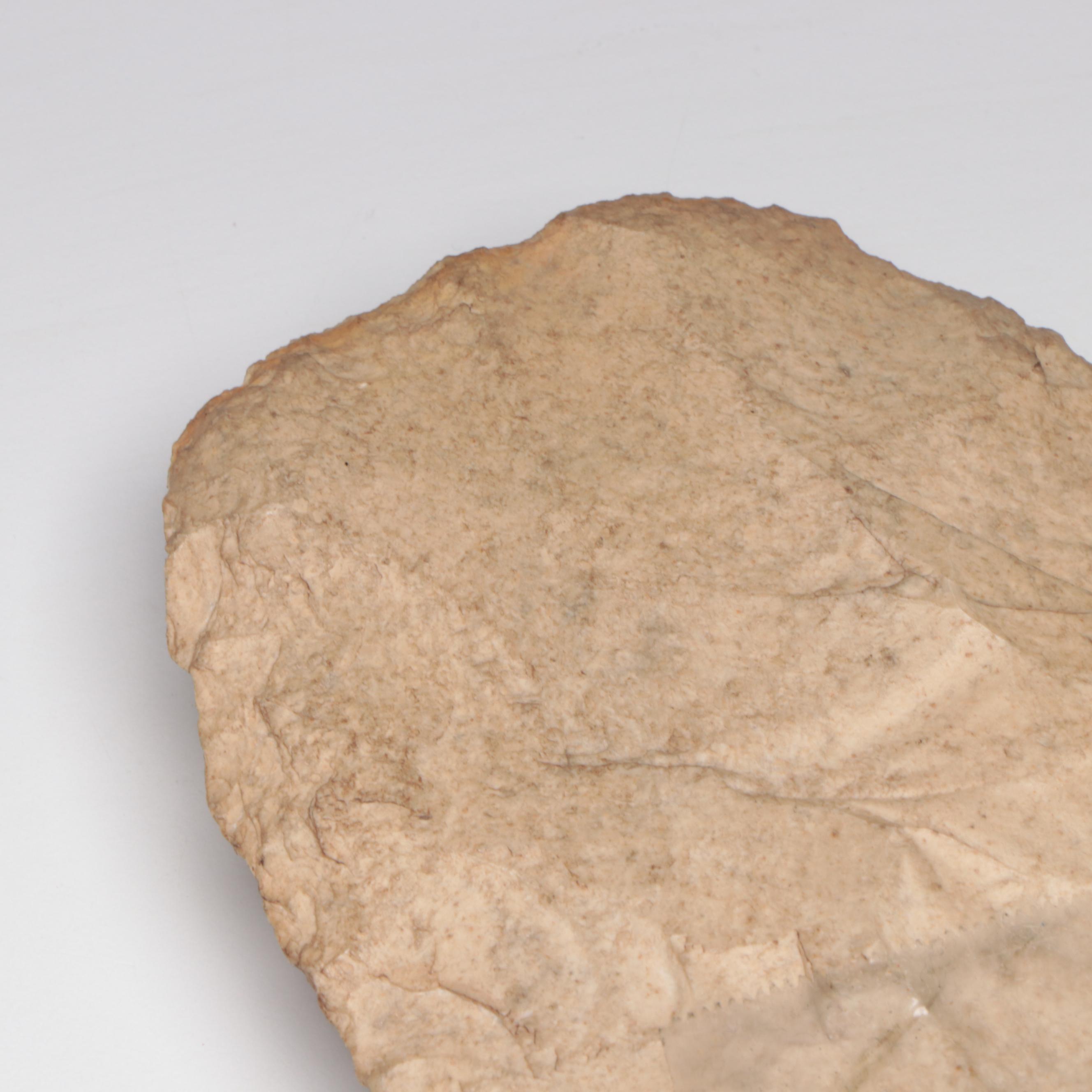 Woodland Period Mill Creek Chert Hoe, 2500 BP