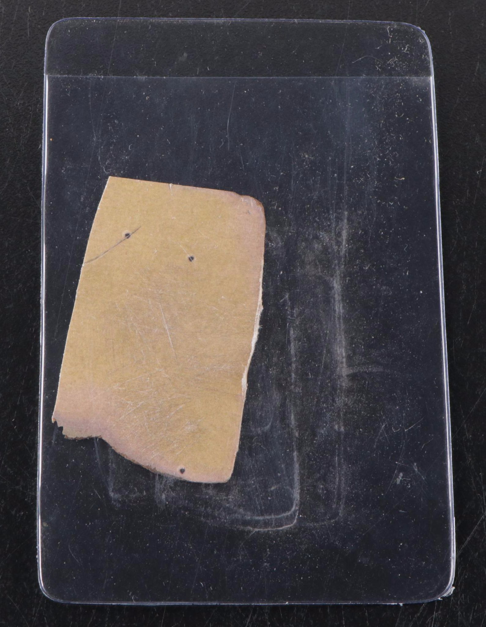 1921 W551 Ty Cobb Baseball Card