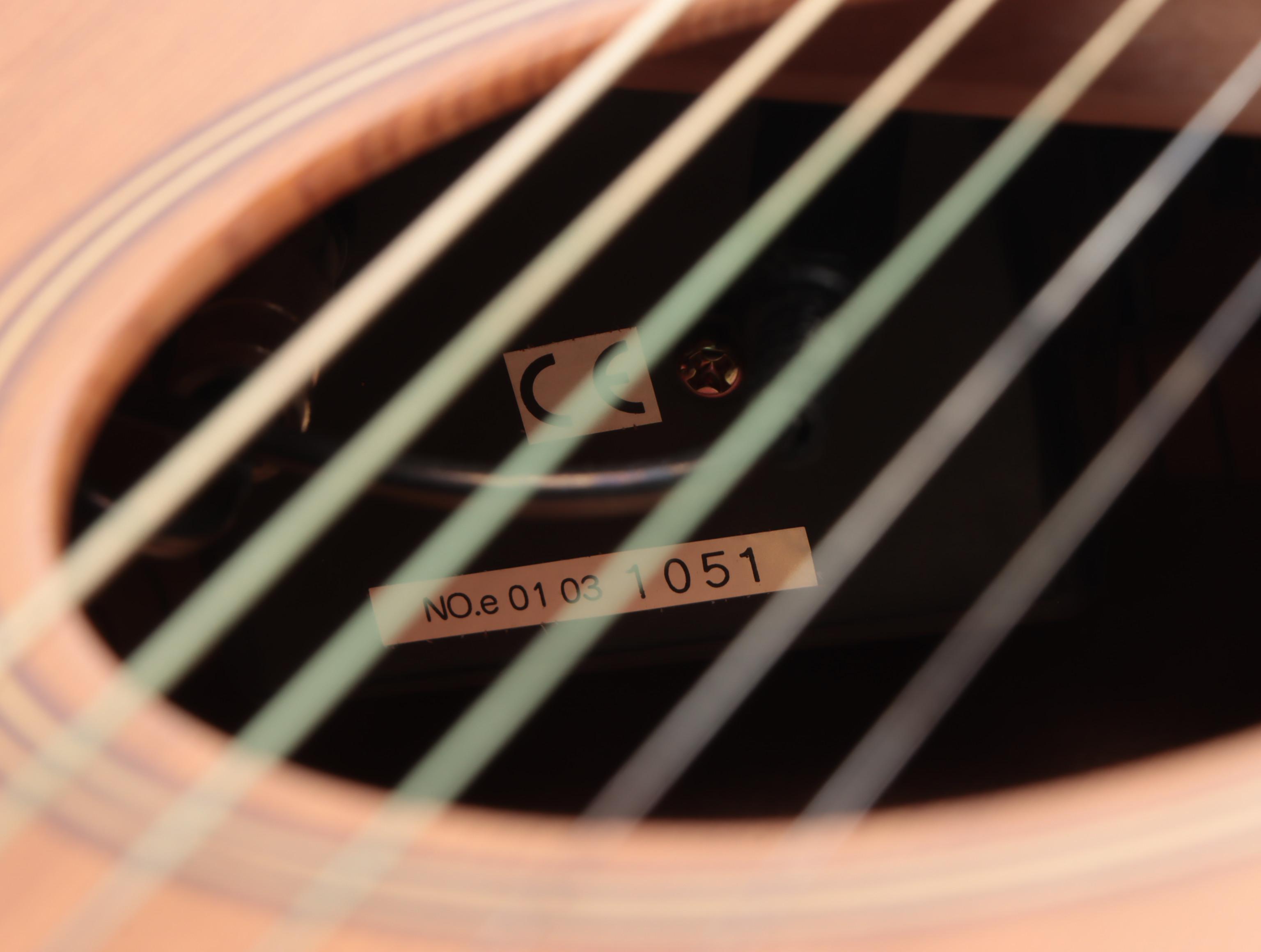 Takamine EAN10C Acoustic-Electric Guitar with Hardshell Case, Early 21st Century