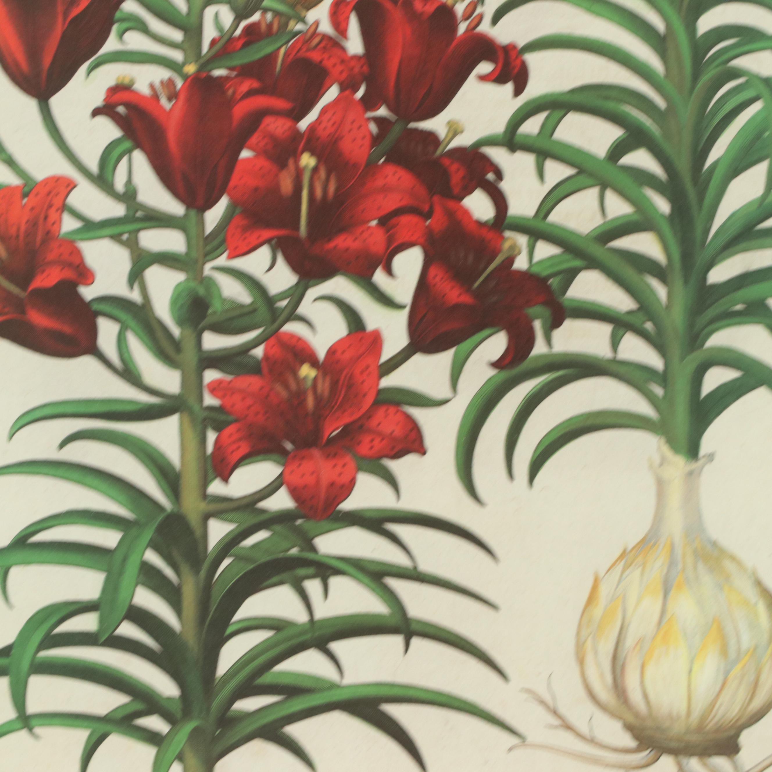 Nancy Ross Interiors Offset Lithograph "Floral I"