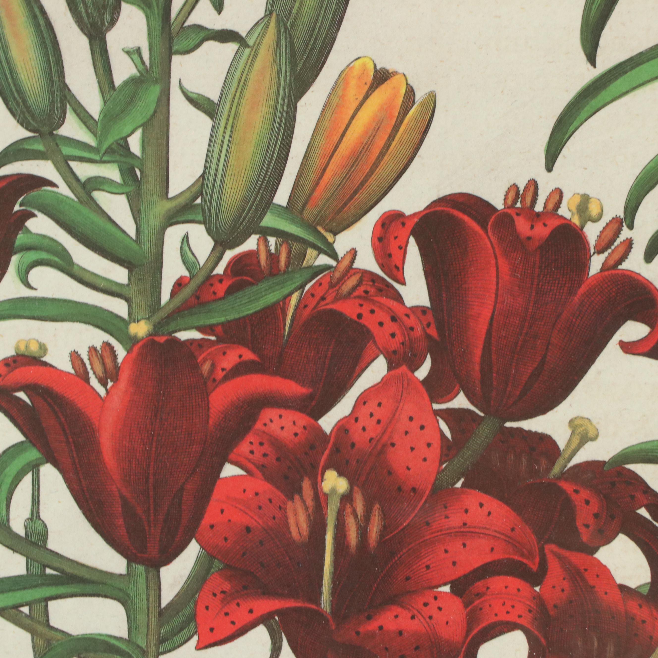 Nancy Ross Interiors Offset Lithograph "Floral I"