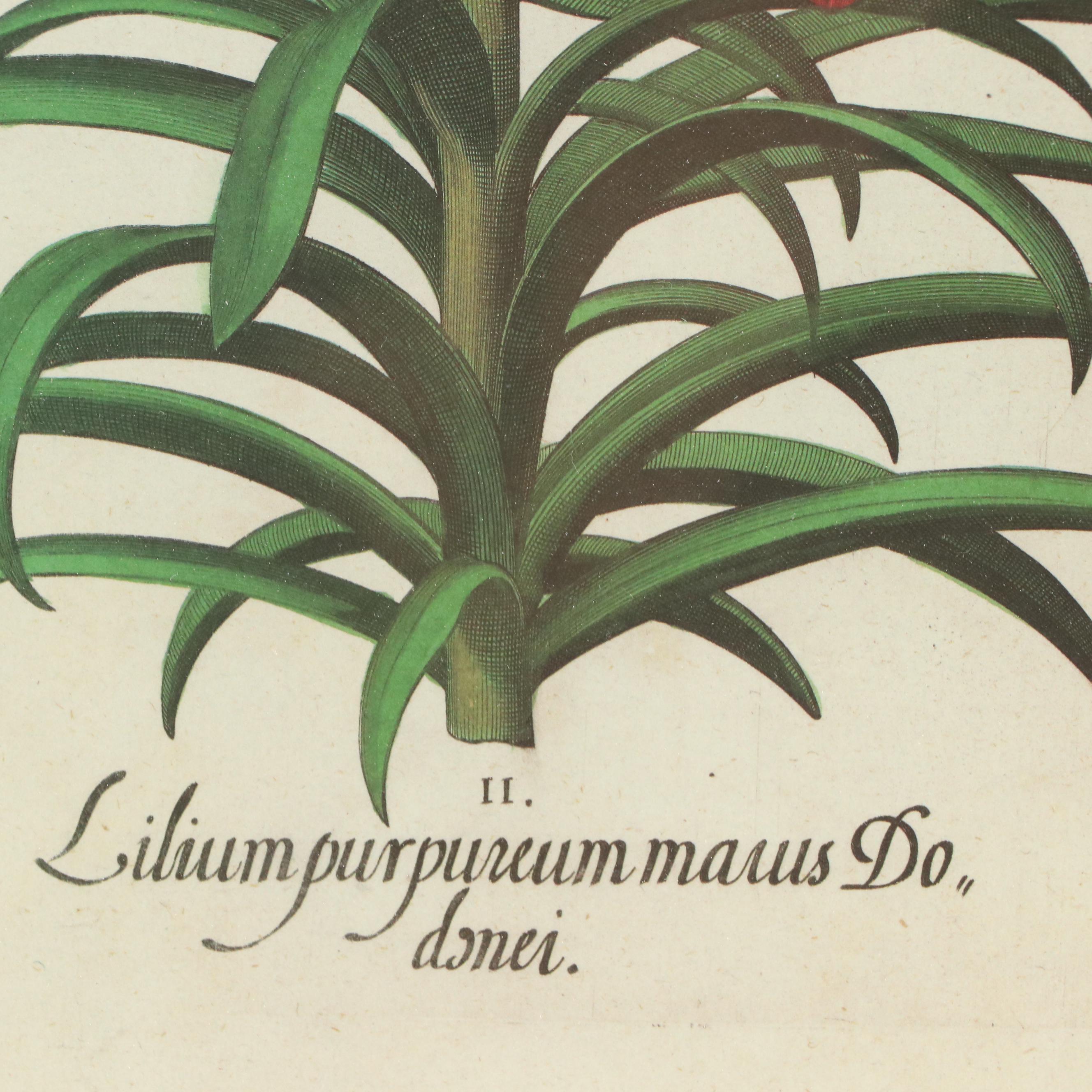 Nancy Ross Interiors Offset Lithograph "Floral I"