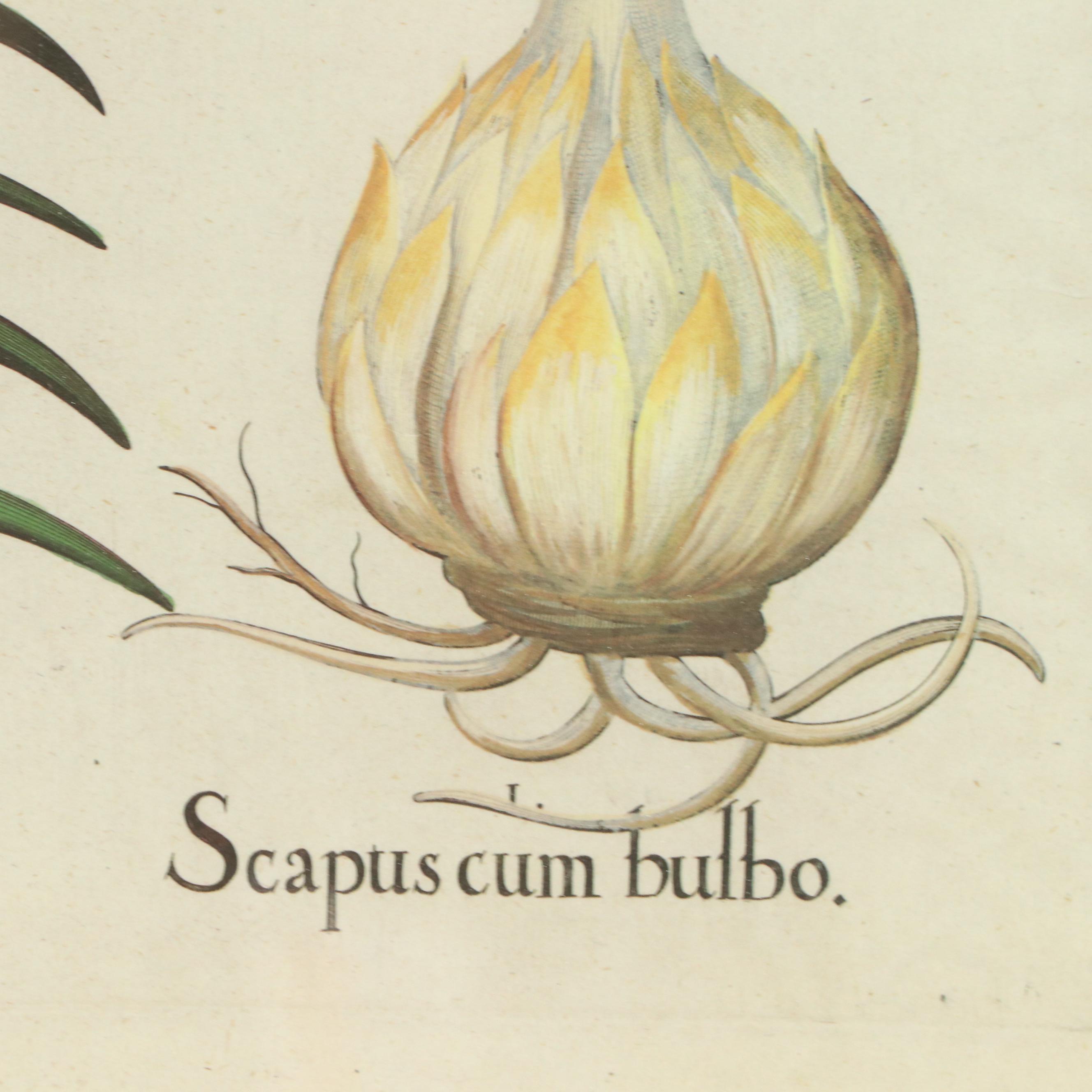 Nancy Ross Interiors Offset Lithograph "Floral I"